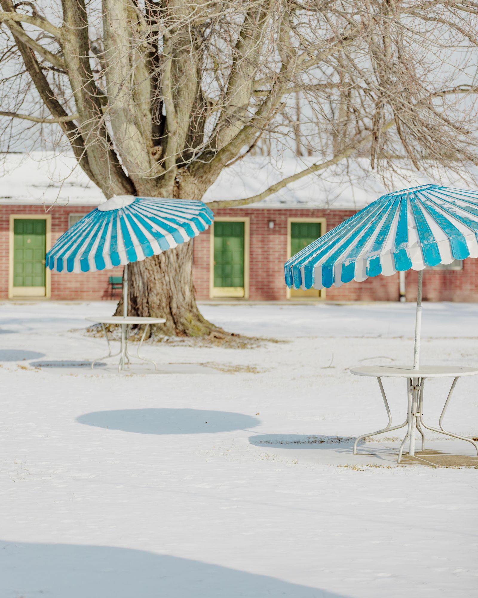 The Maples Motel 01