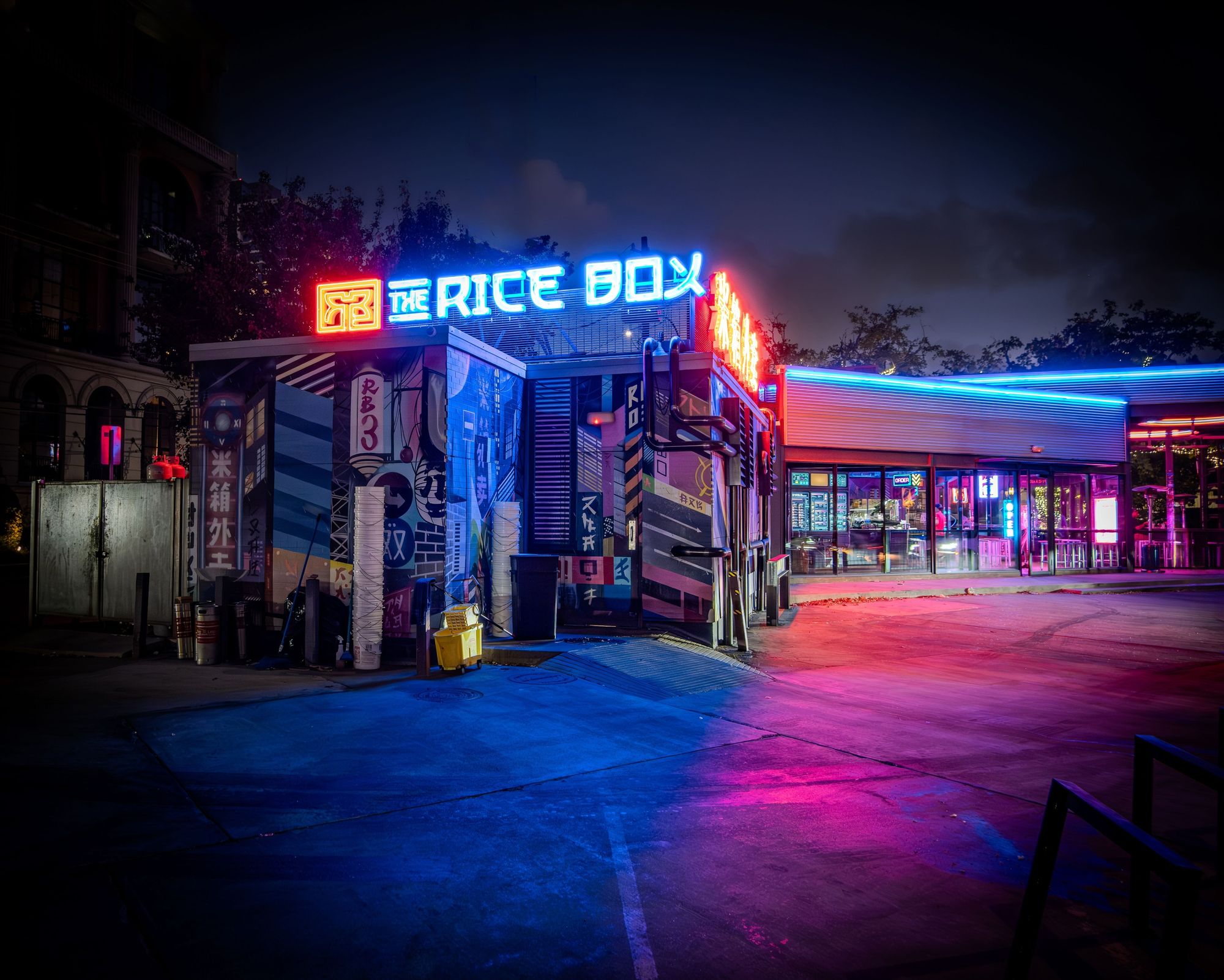 The Neon Rice Box 3