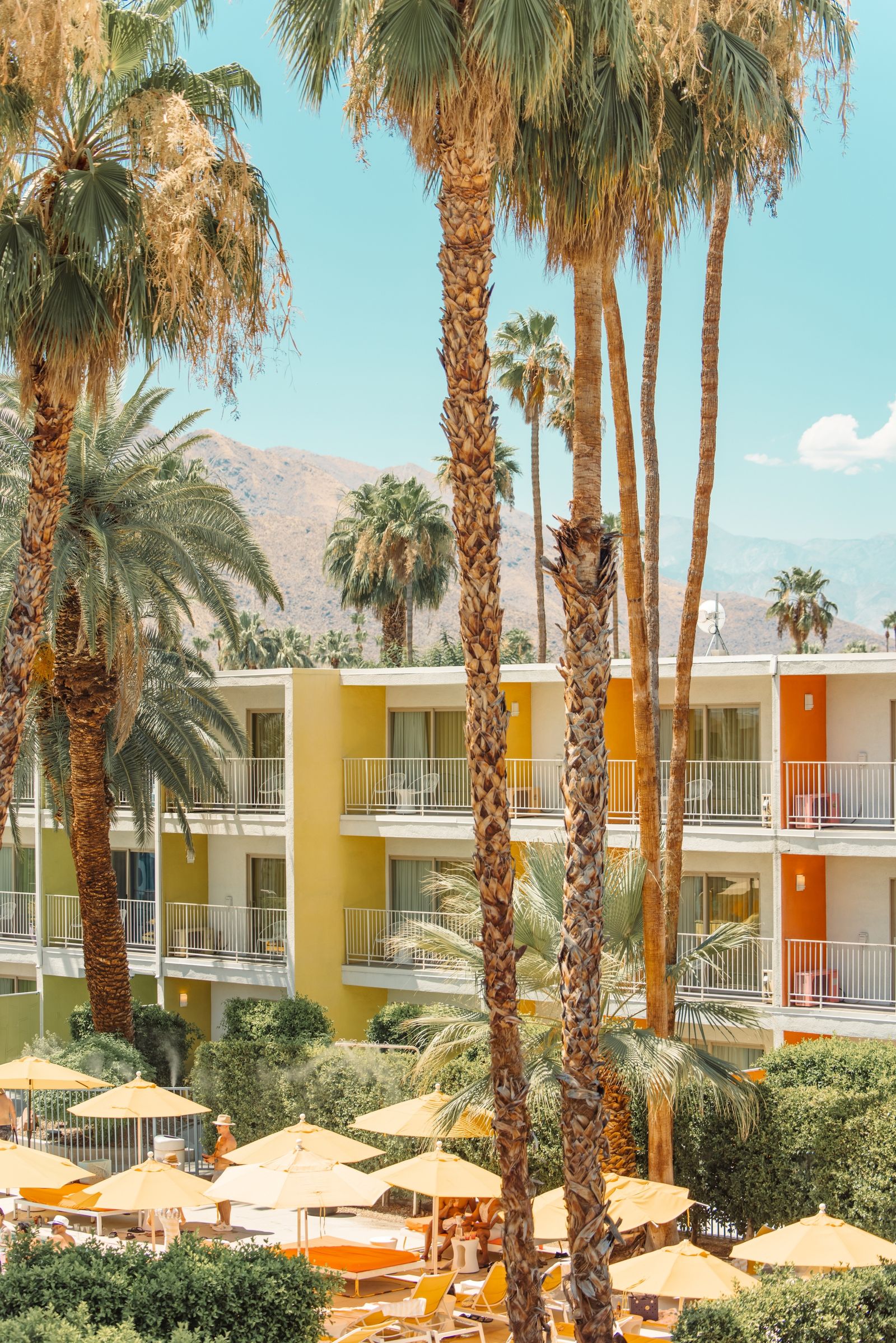 The Saguaro Palm Springs 06