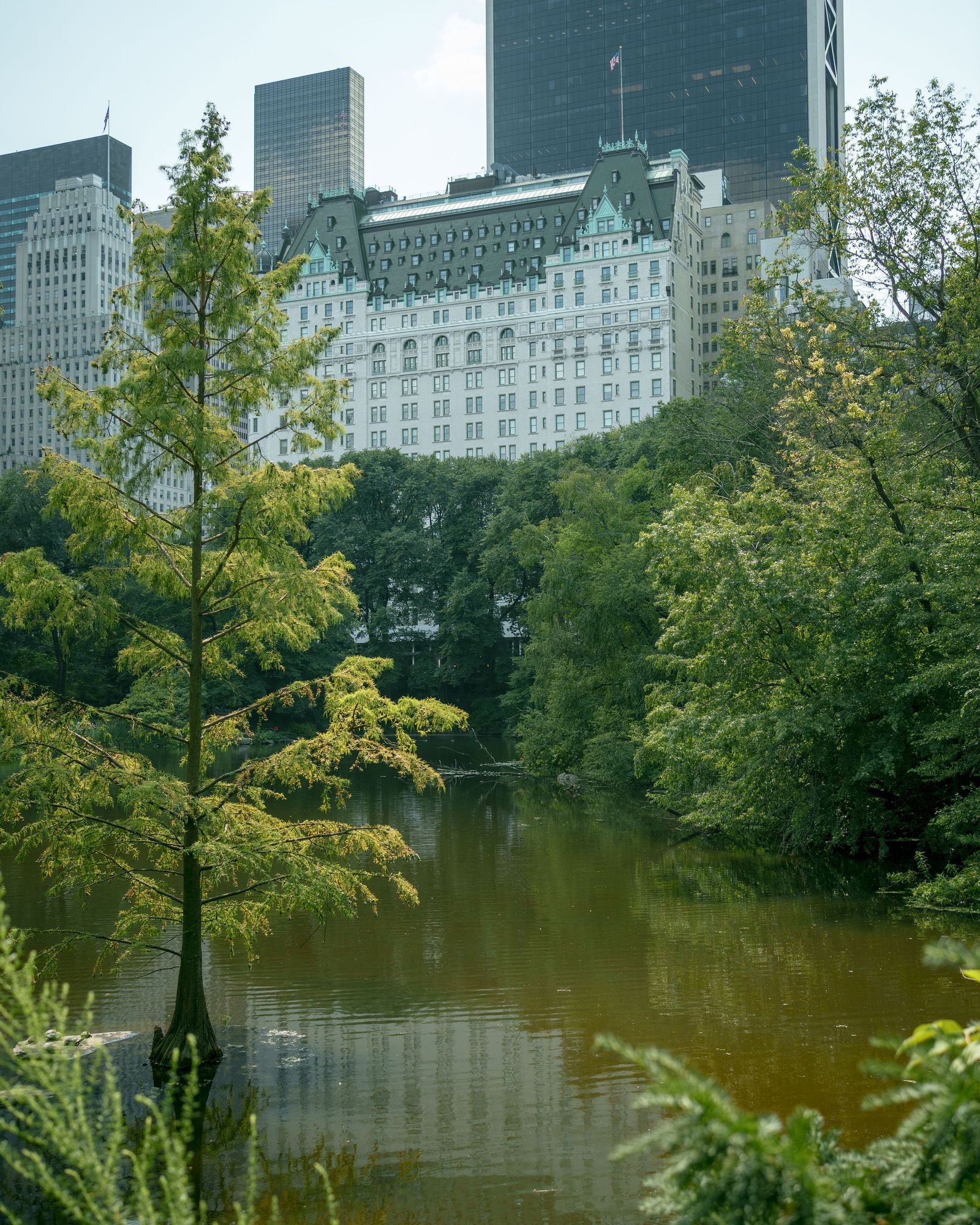 The Pond, Central Park