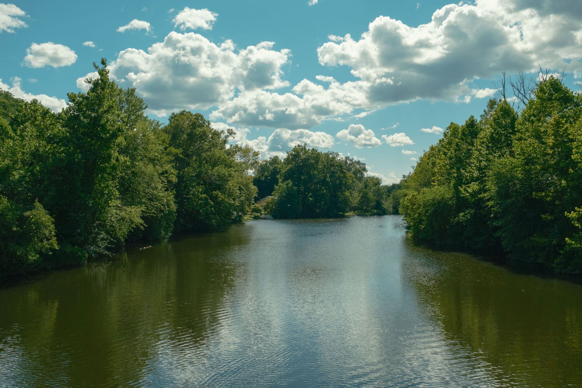 The Ramapo River, Oakland 01