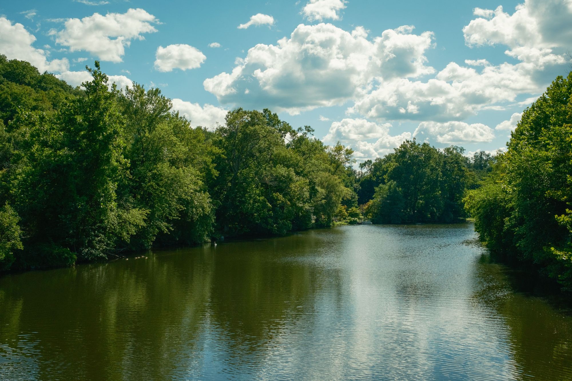 The Ramapo River, Oakland 02