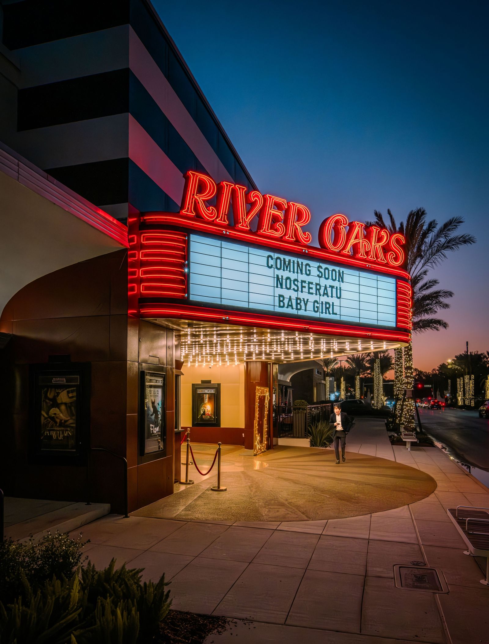 The River Oaks Theatre