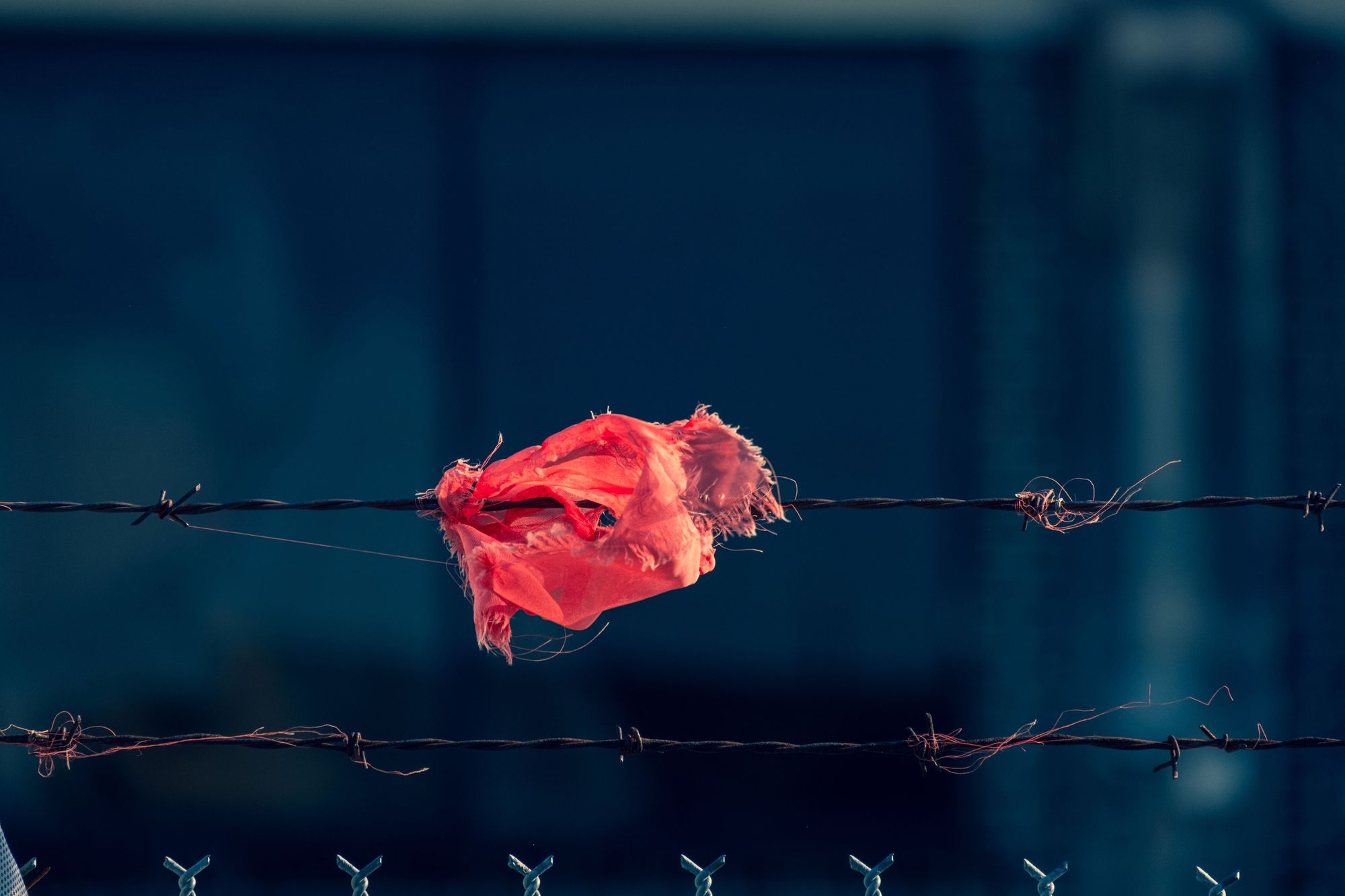 Torn Fabric on a wired fence