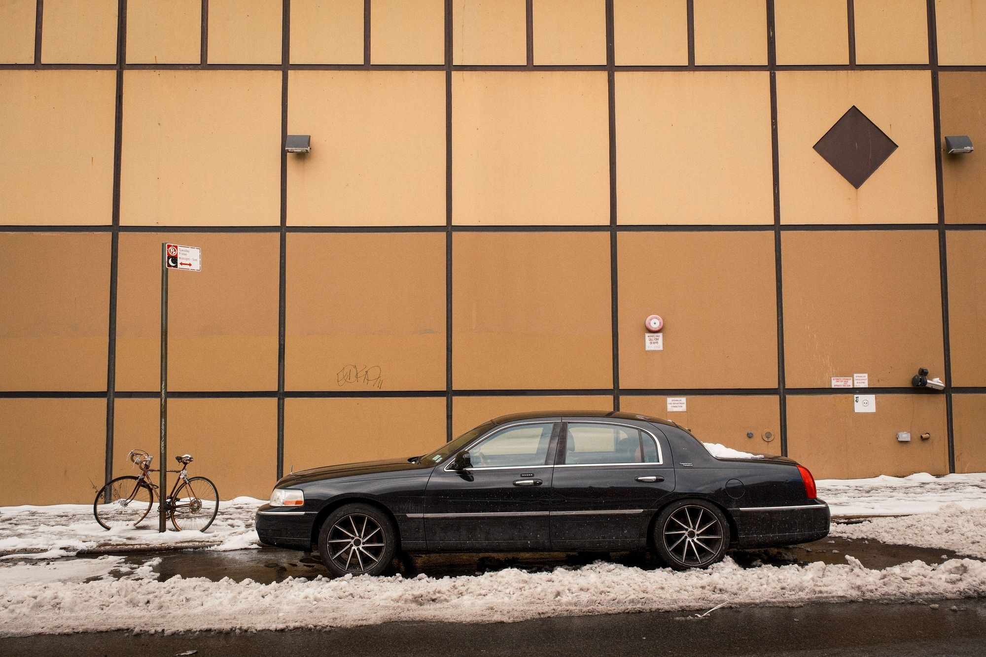 Town Car, East Williamsburg