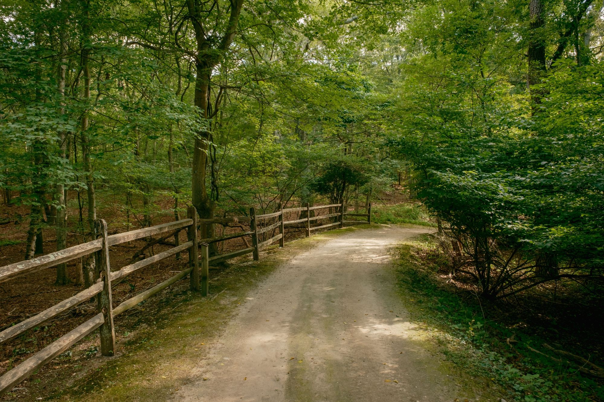 Trail at Hoyt Farm Nature Preserve, Commack 01