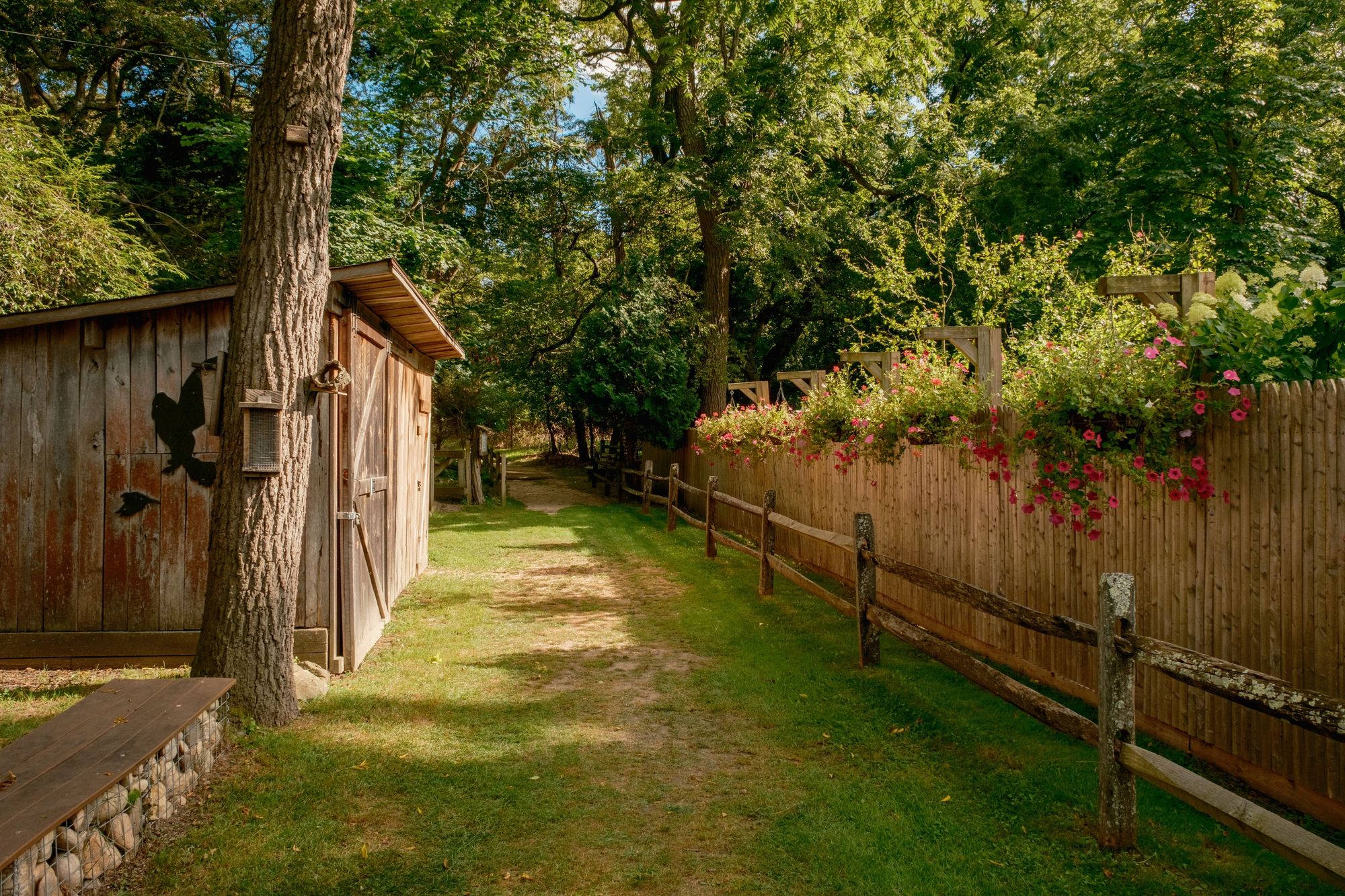 Trail at Hoyt Farm Nature Preserve, Commack 02