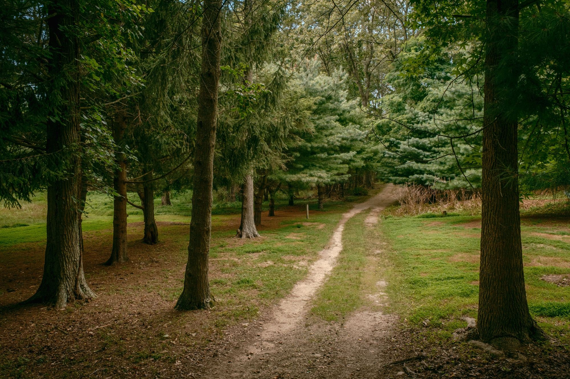Trail at Hoyt Farm Nature Preserve, Commack 03