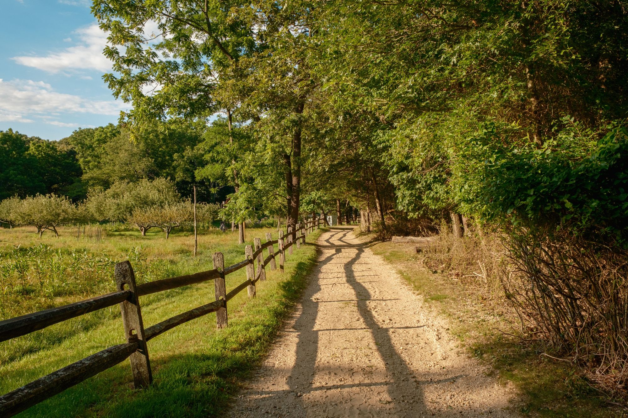 Trail at Hoyt Farm Nature Preserve, Commack 04