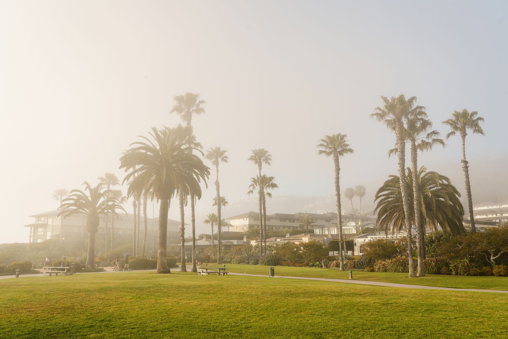 Treasure Island Park, Laguna Beach 01