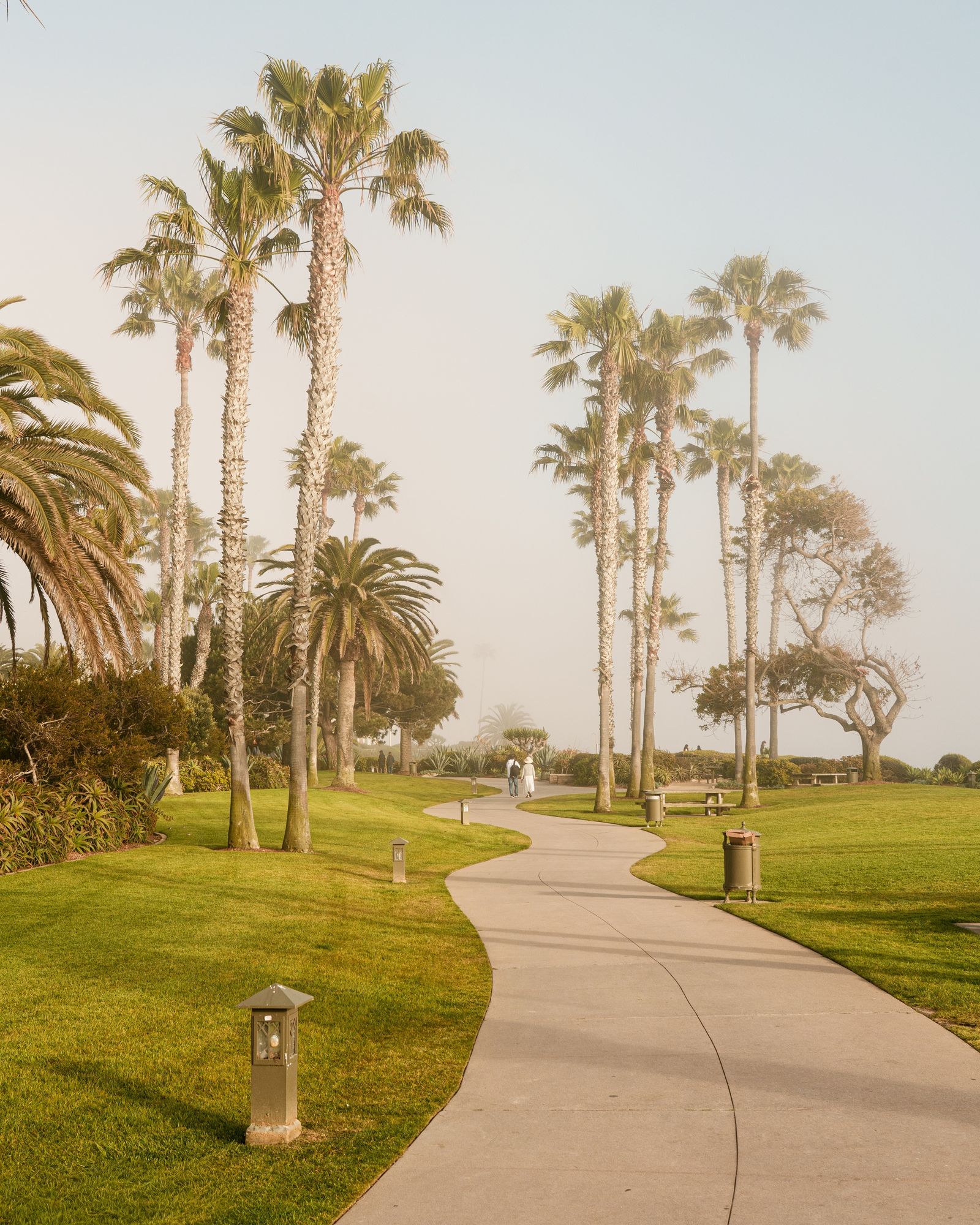 Treasure Island Park, Laguna Beach 02
