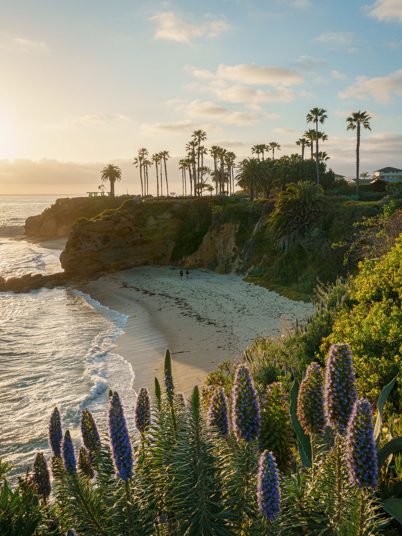 Treasure Island Park, Laguna Beach 03