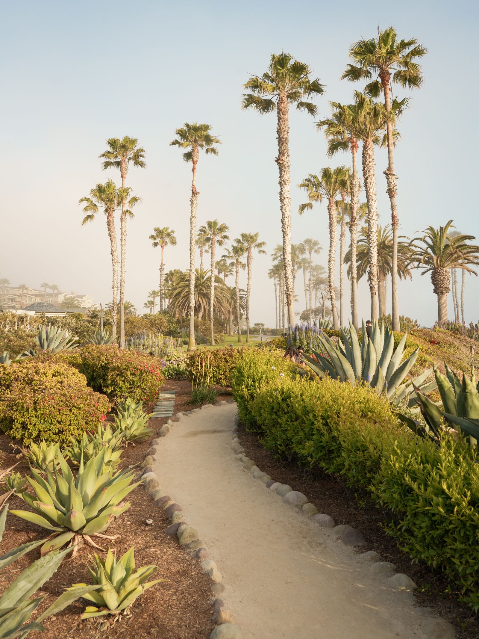 Treasure Island Park, Laguna Beach 04
