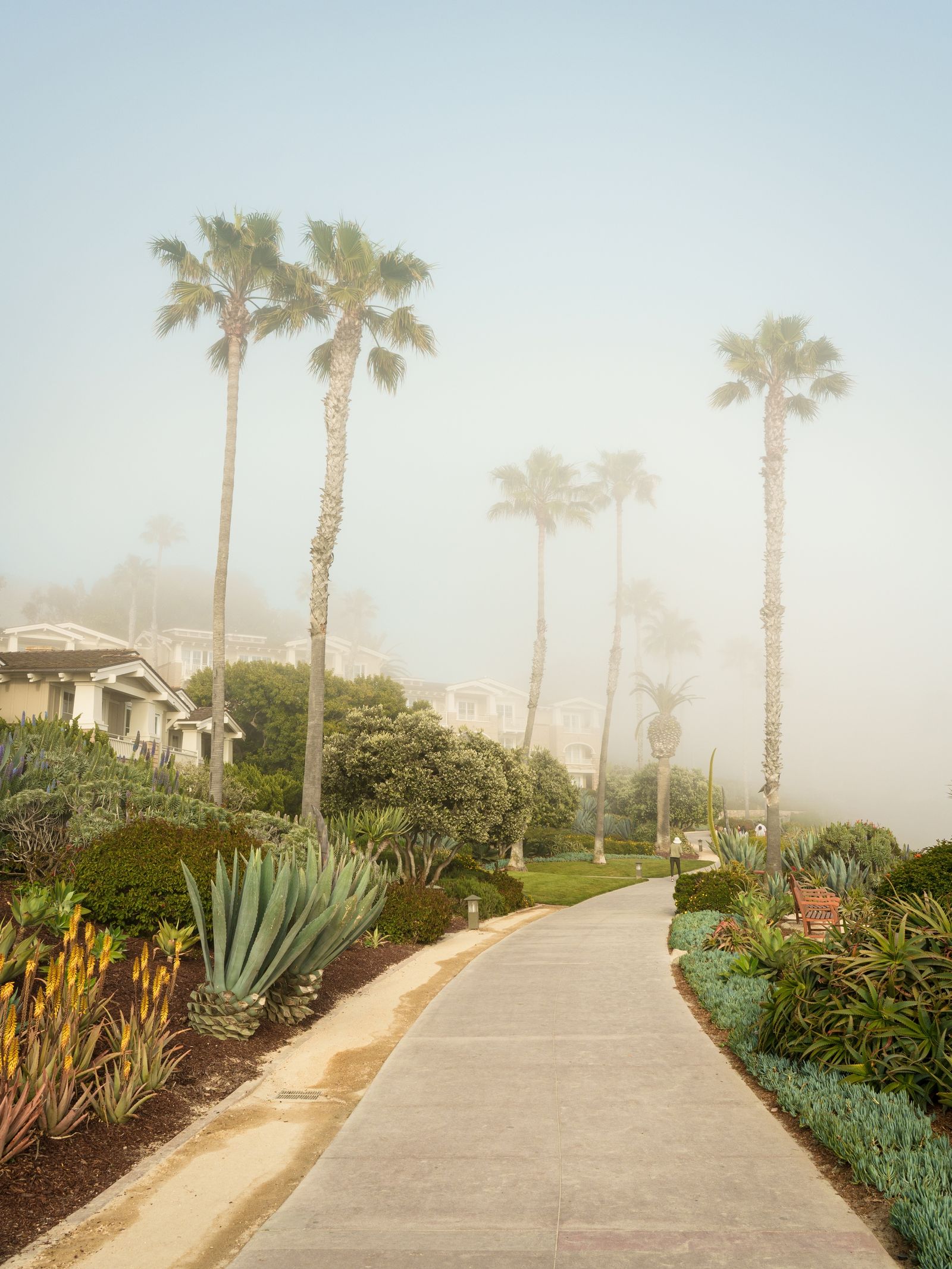Treasure Island Park, Laguna Beach 05