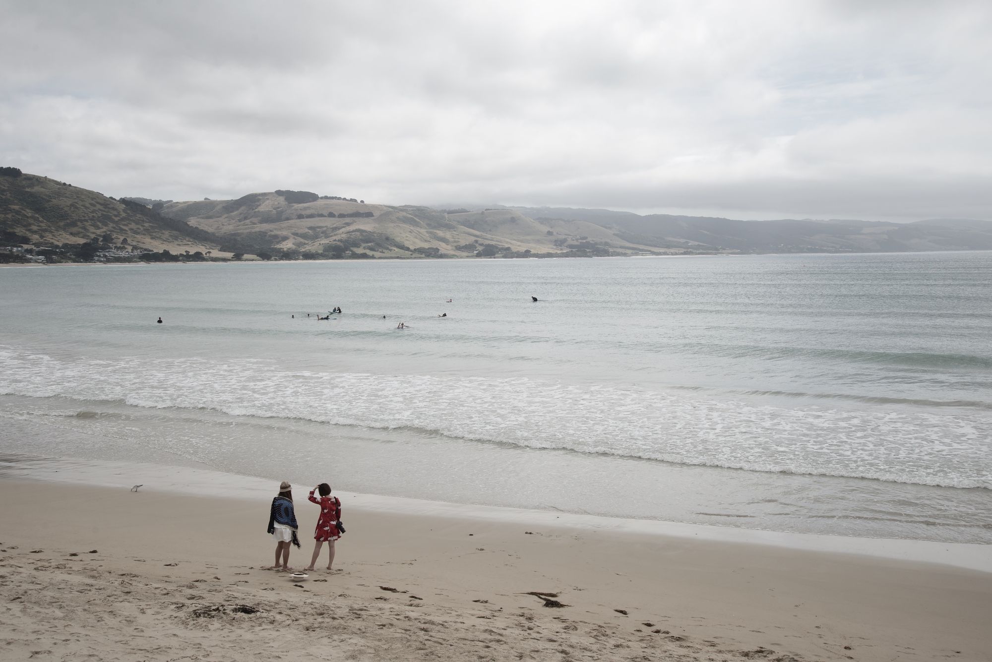 Two Friends on a Beach