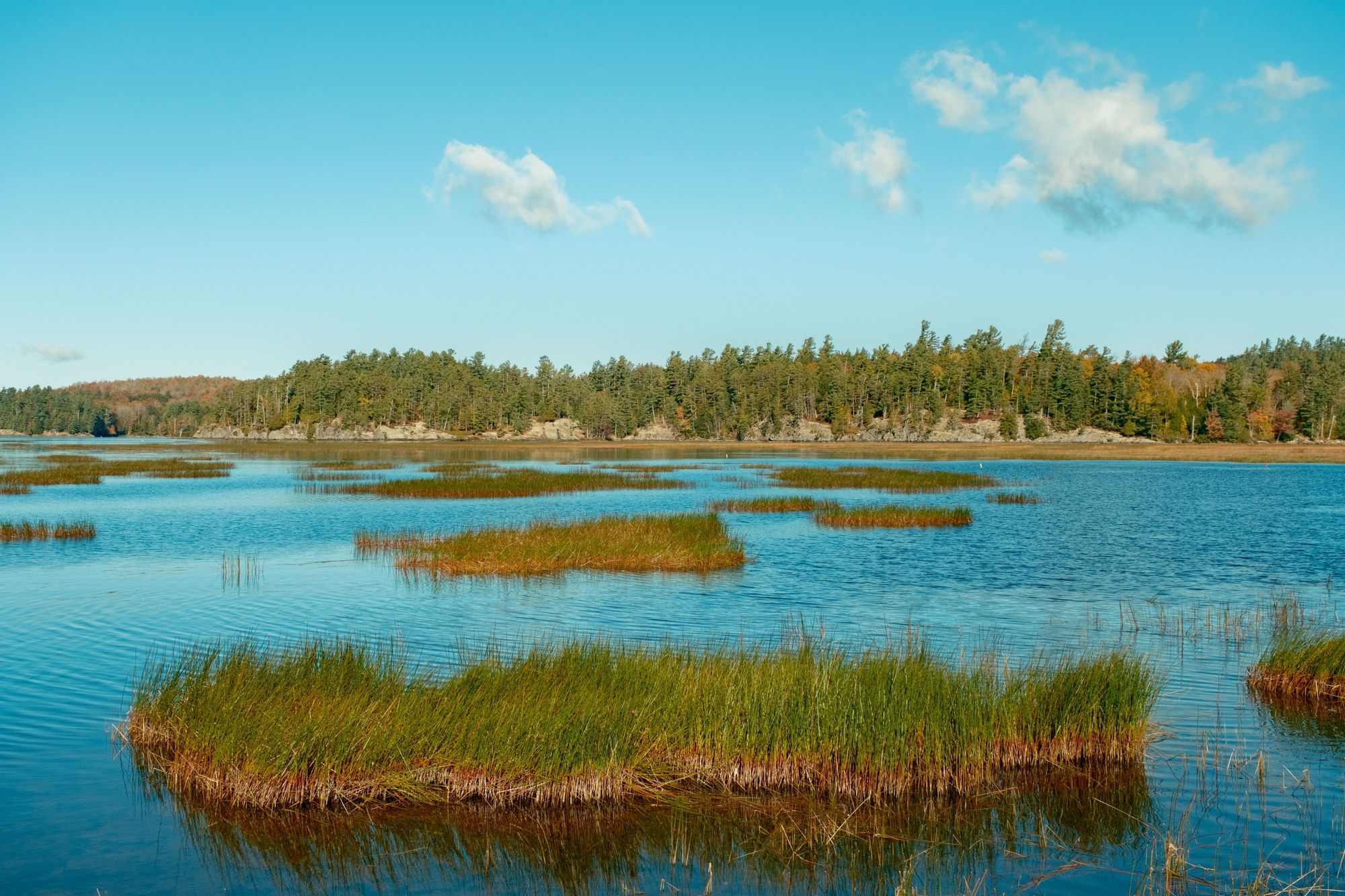 Tupper Lake Landscape