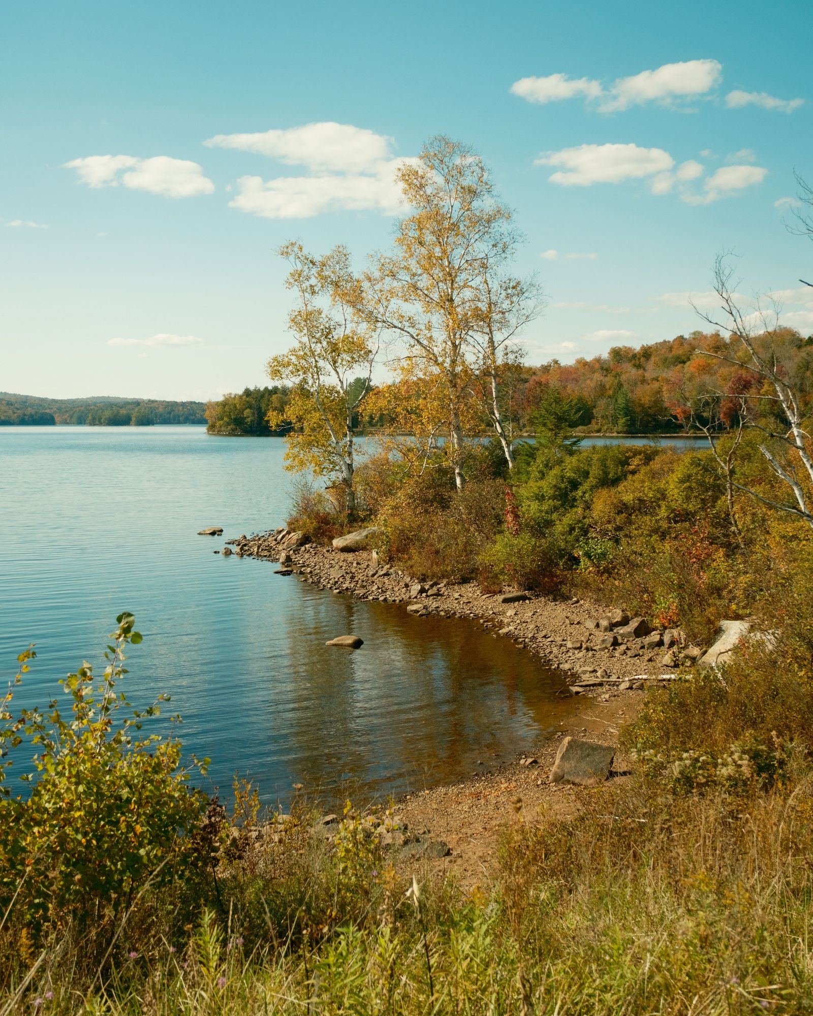Tupper Lake Shoreline