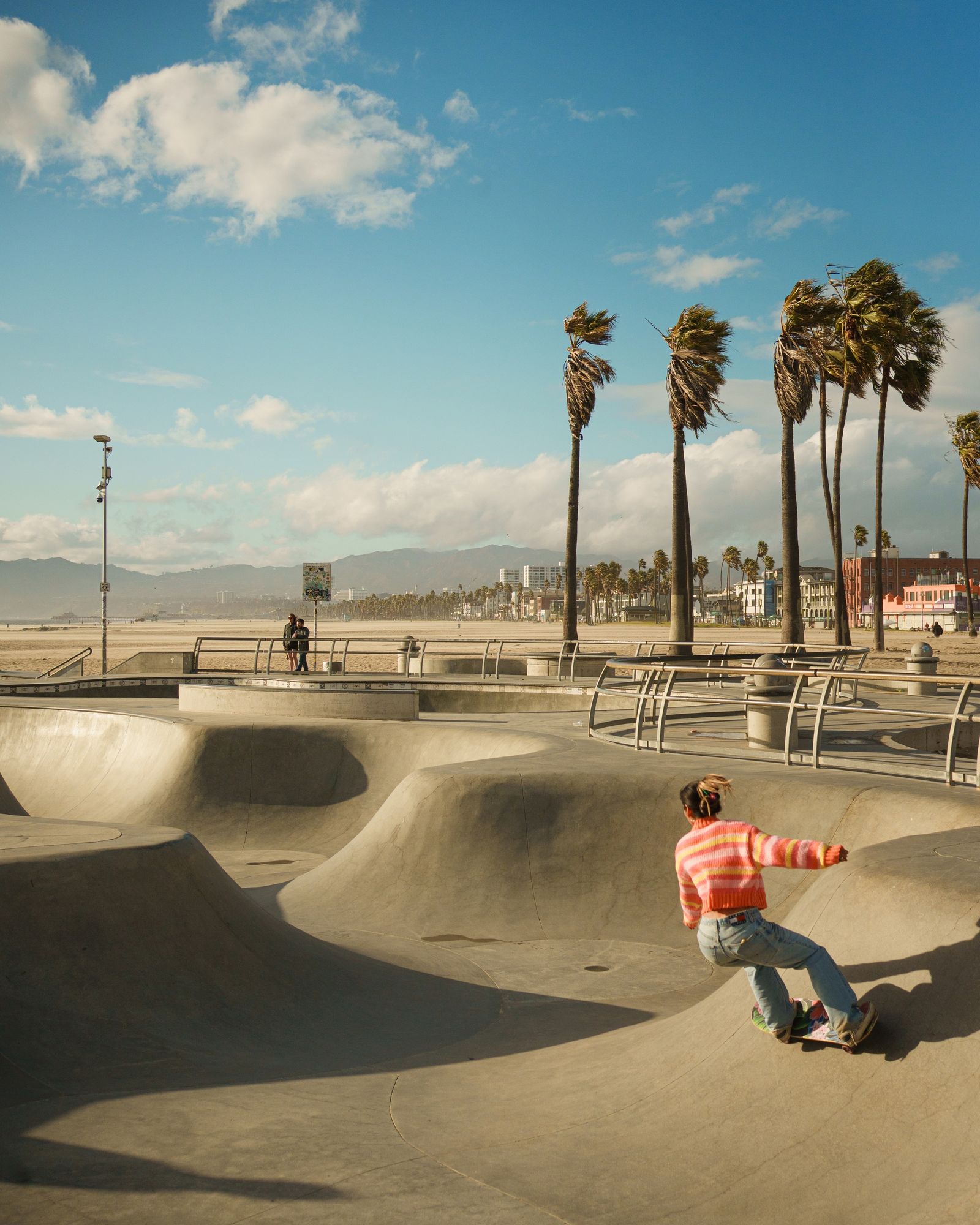 Venice Skatepark, Los Angeles