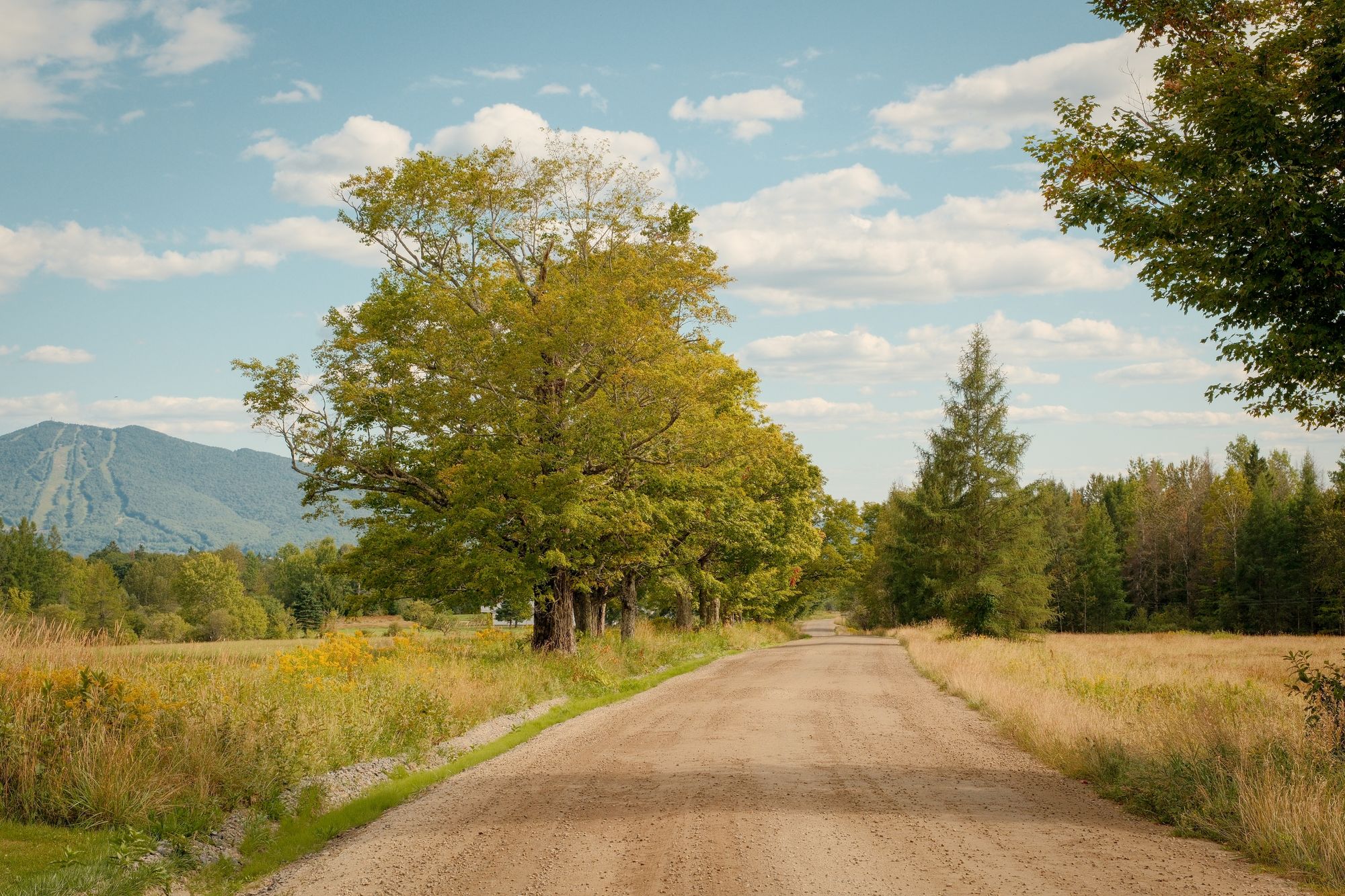 Vermont Rural 03