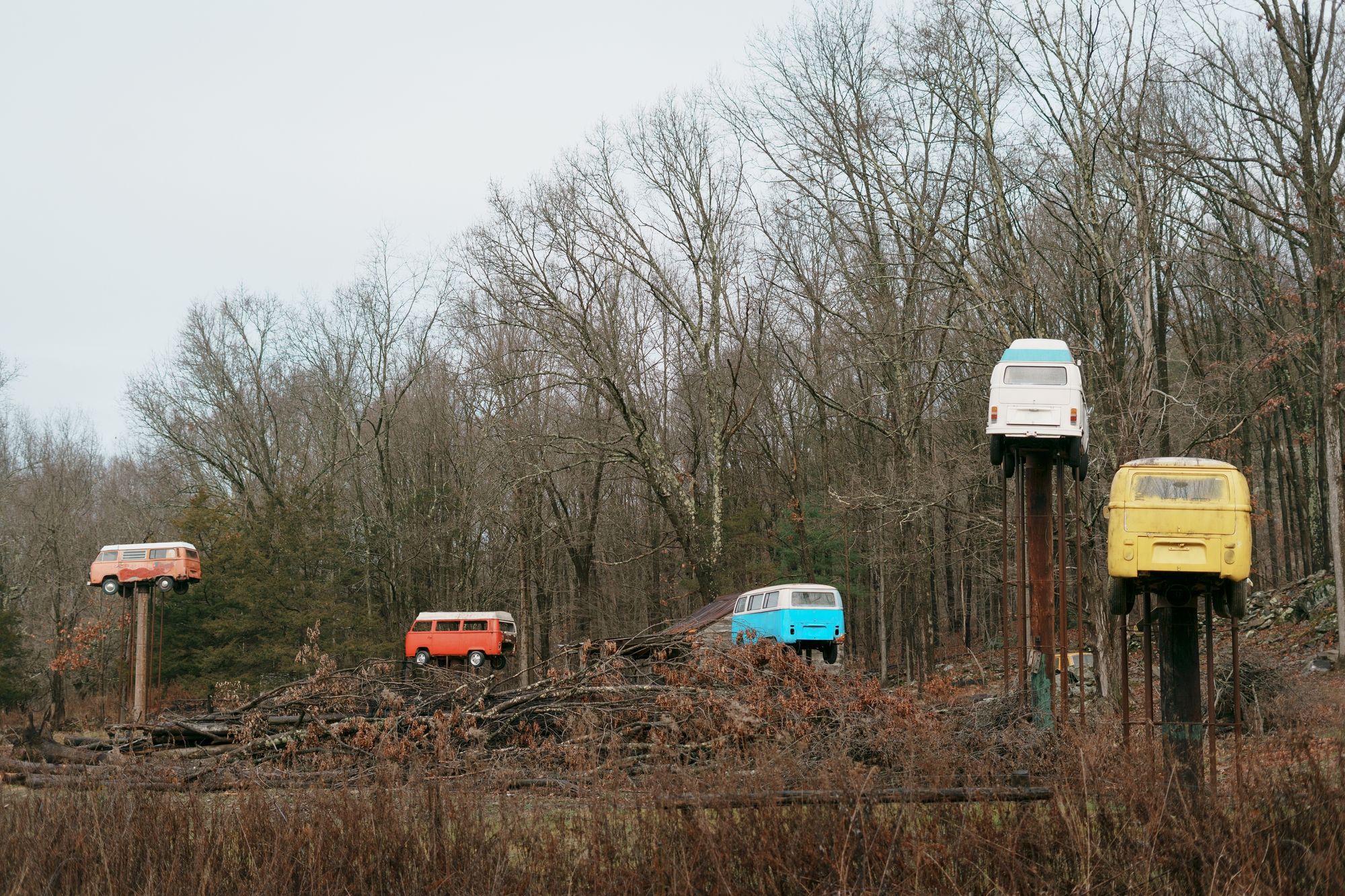 VW Trees, Walkill 01