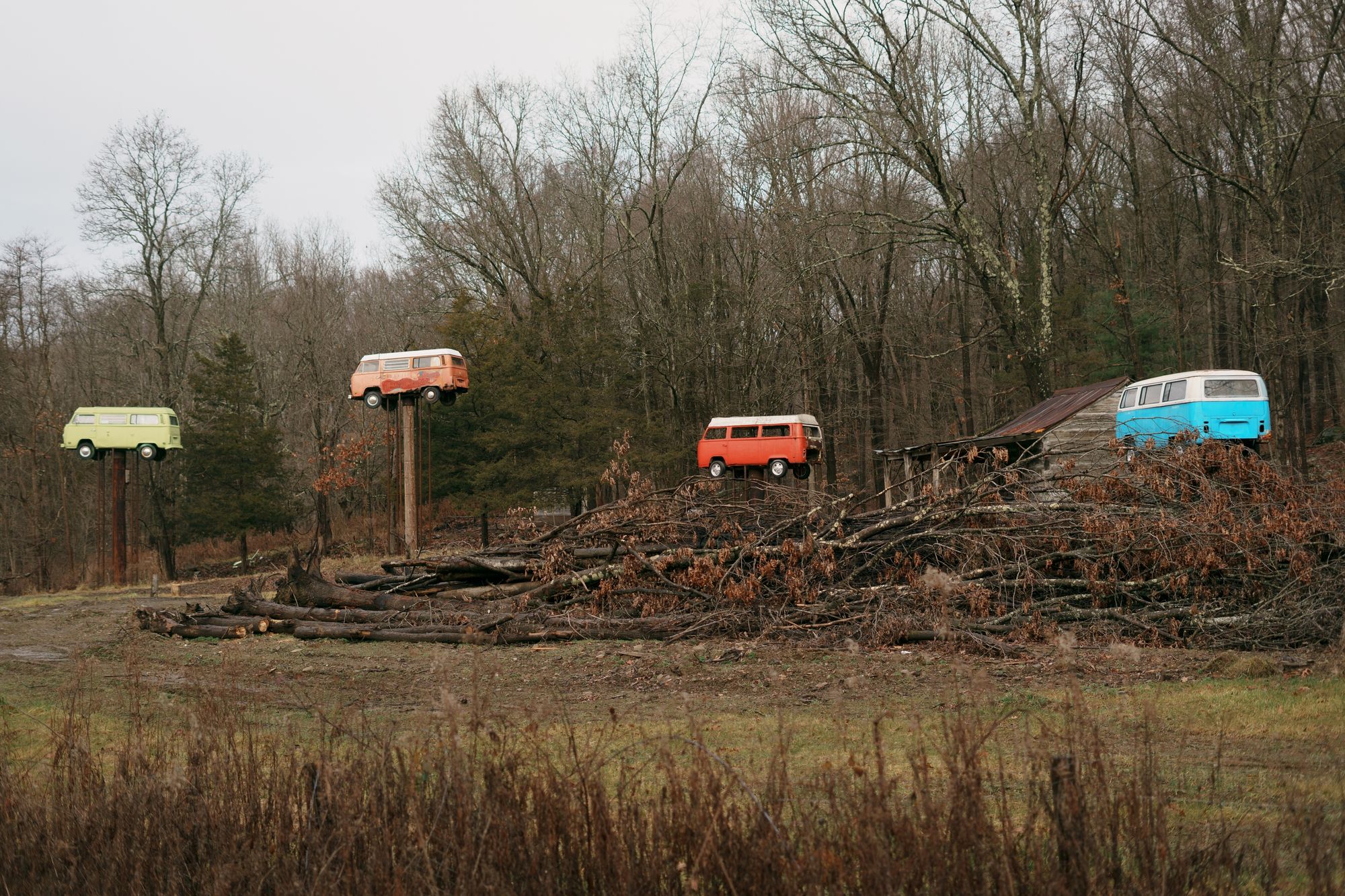 VW Trees, Walkill 02