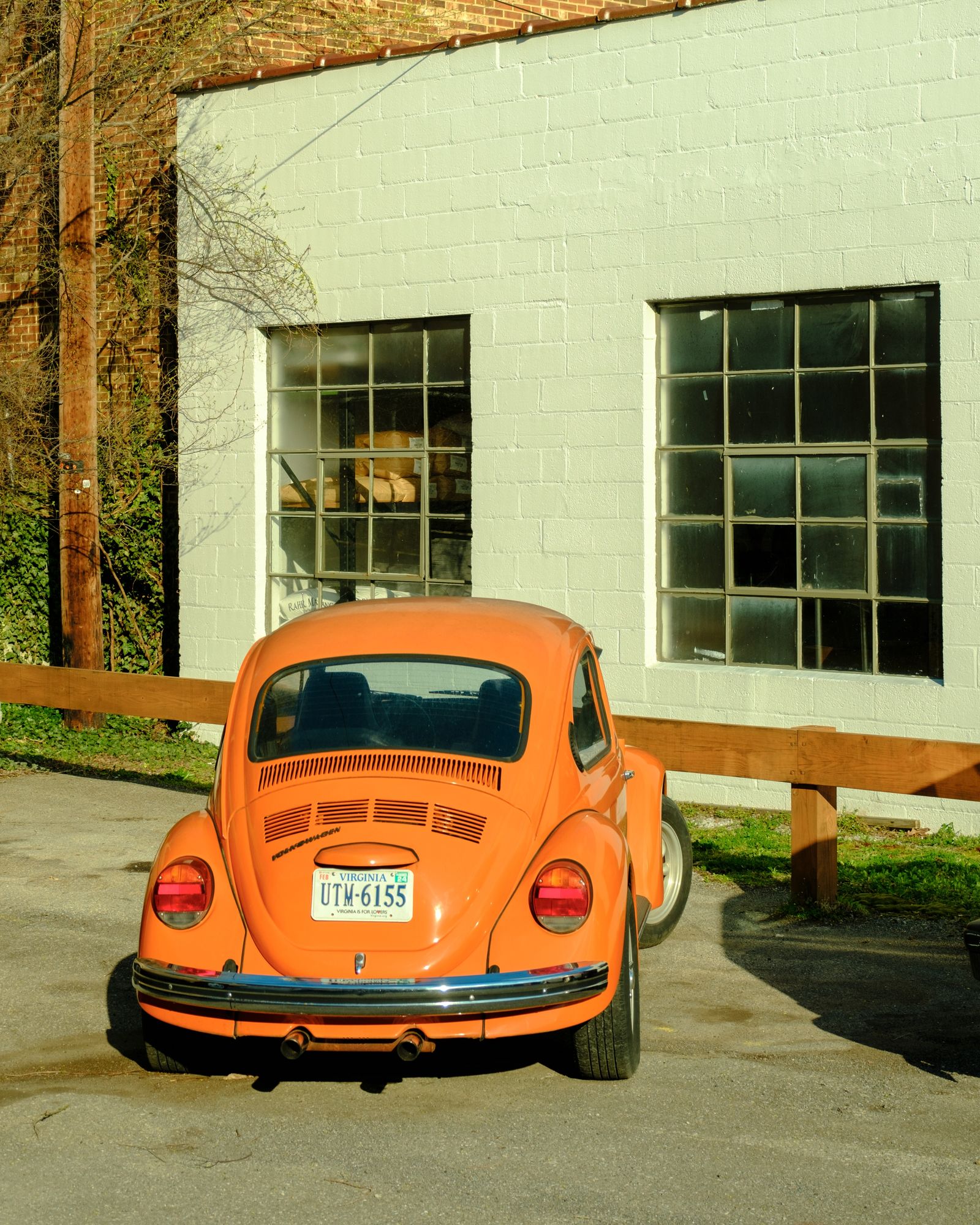 VW Beetle, Wytheville 03