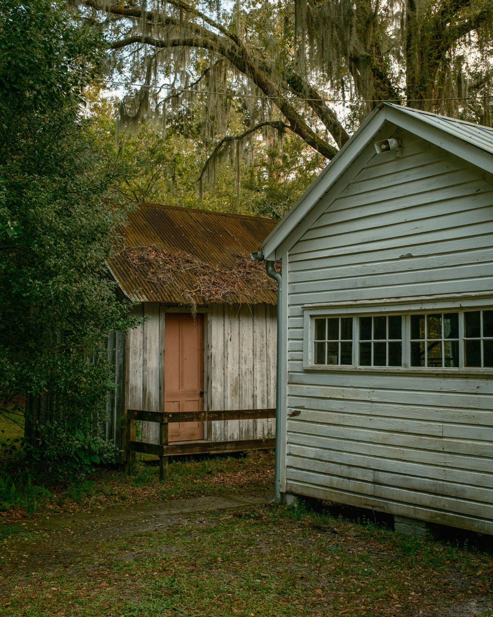 Walter Jones Historic Park, Jacksonville 02