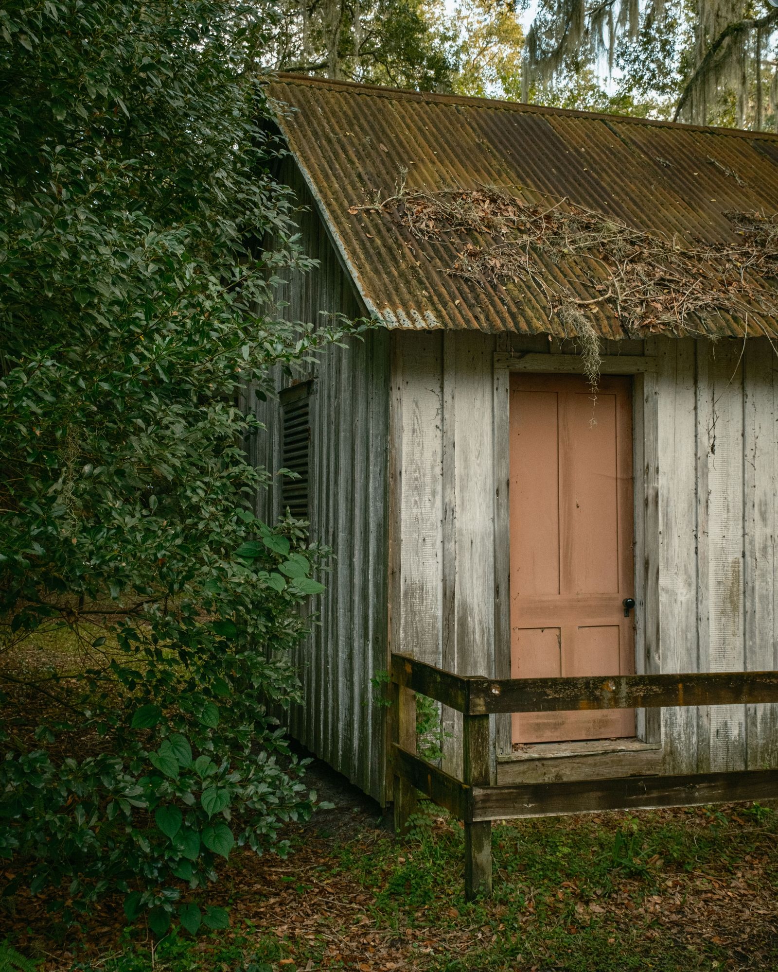 Walter Jones Historic Park, Jacksonville 03