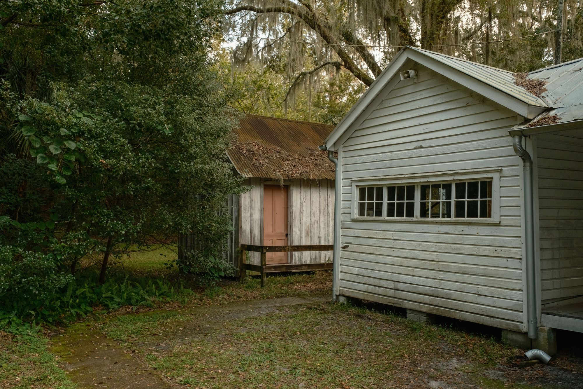 Walter Jones Historic Park, Jacksonville 04