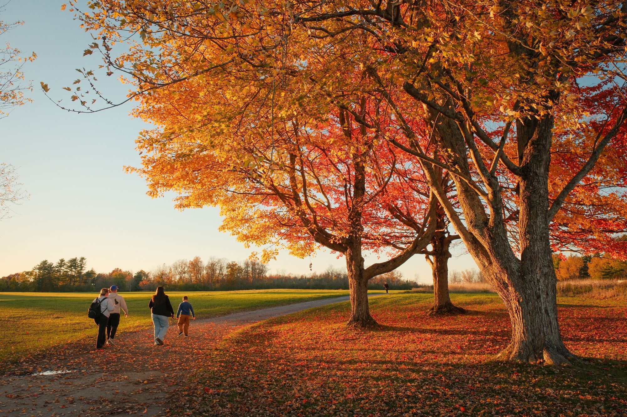 Walking at Knox Farm, East Aurora