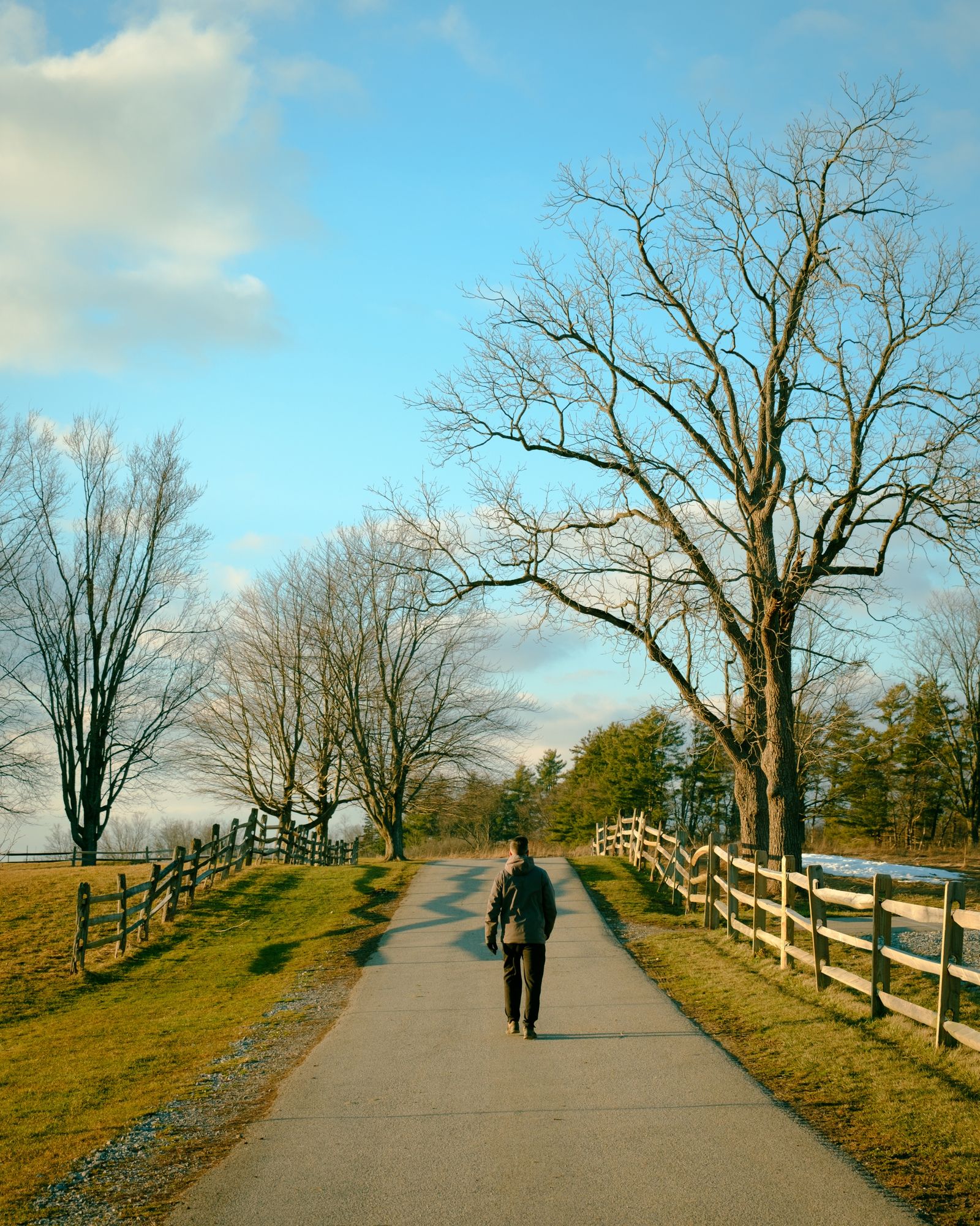Walking at Knox Farm