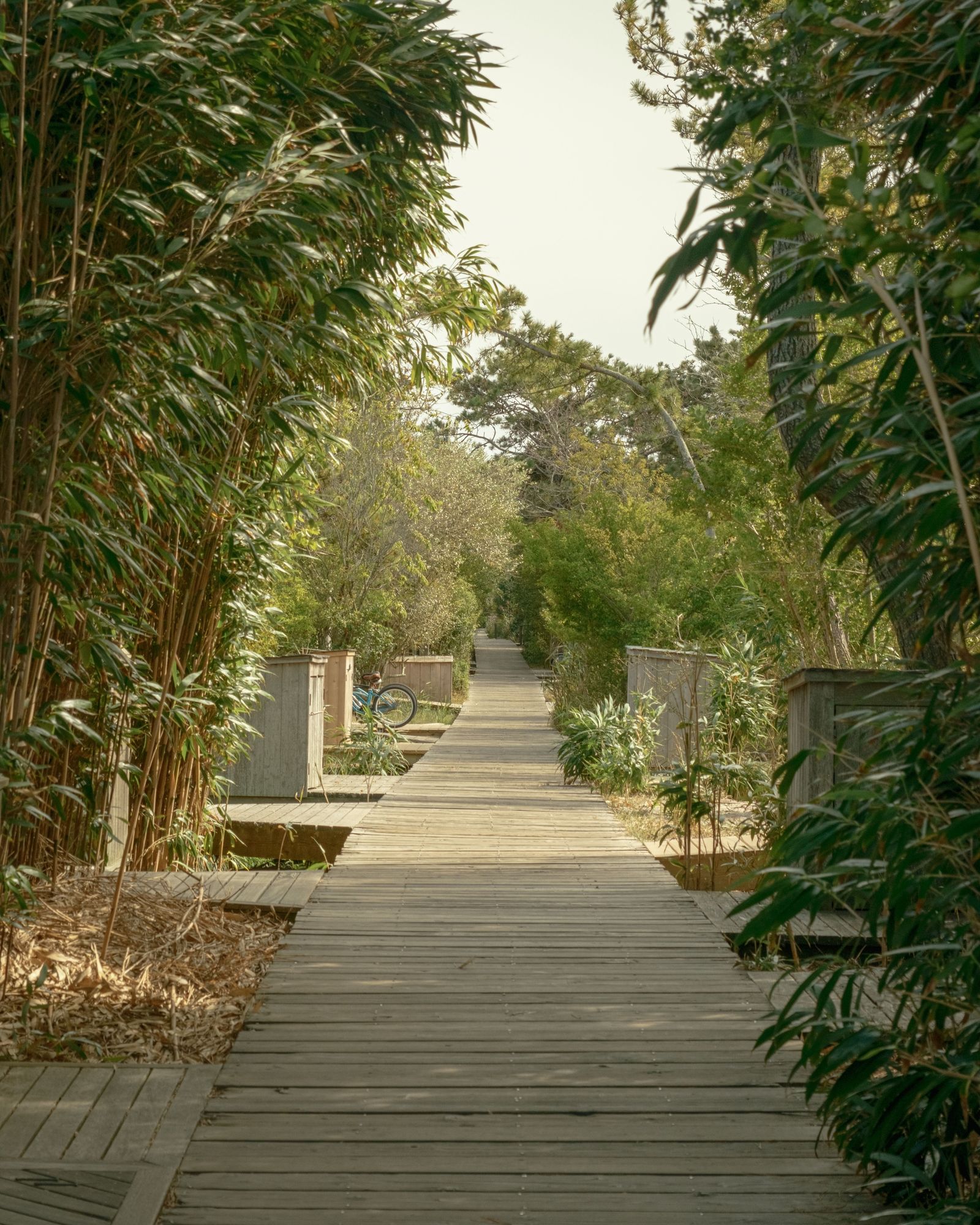 Walkway in Fair Harbor, Fire Island 02