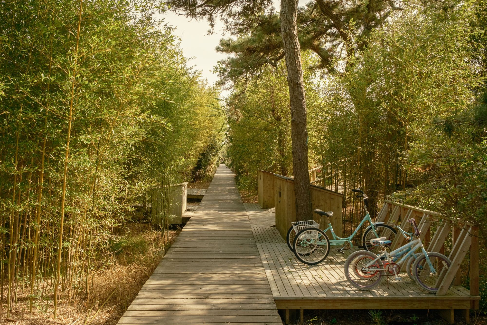 Walkway in Fair Harbor, Fire Island 01
