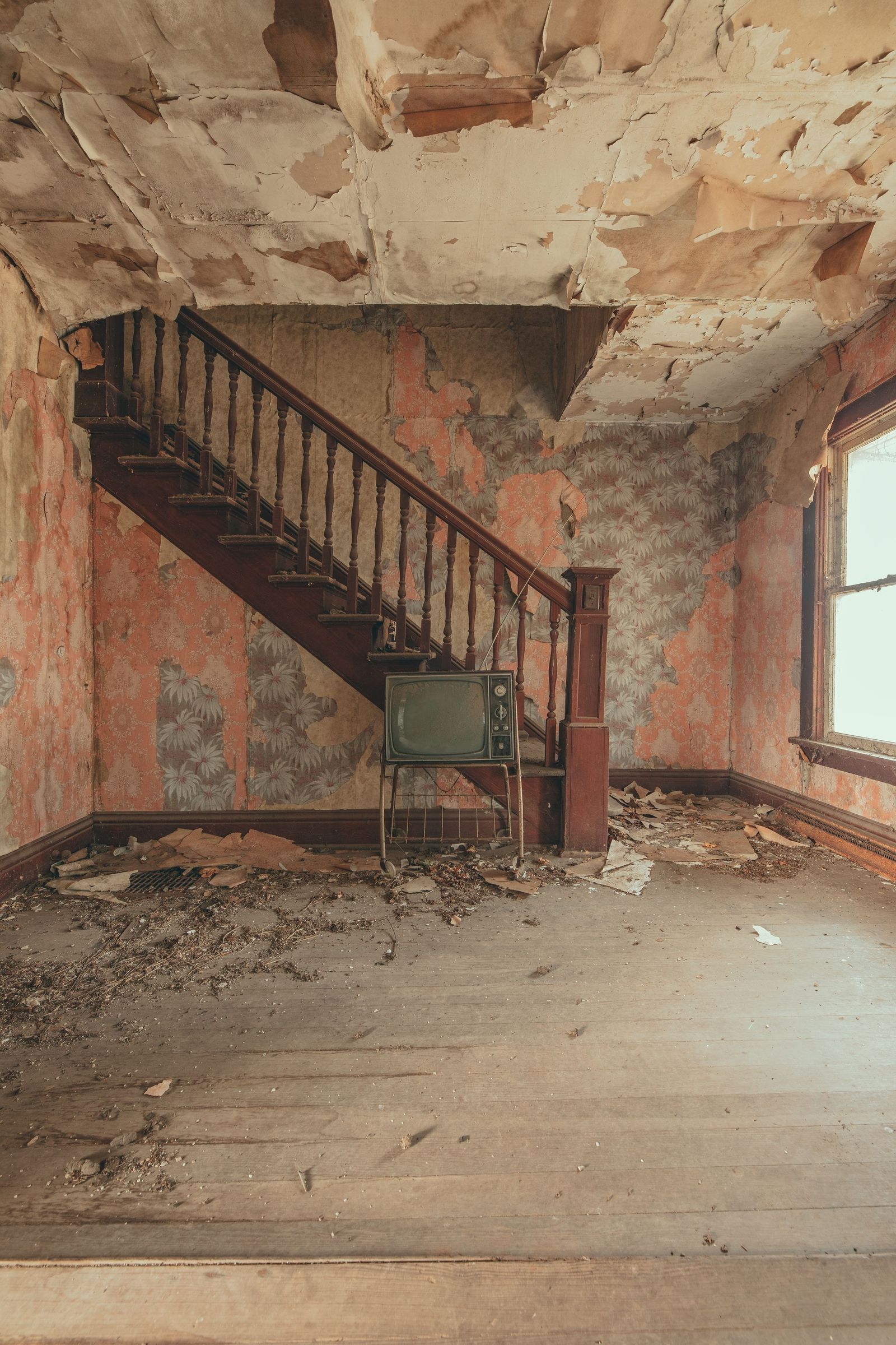 Elmwood House Interior 01