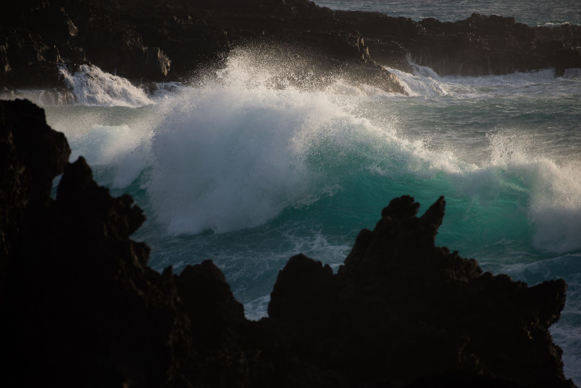 Wave's Dance