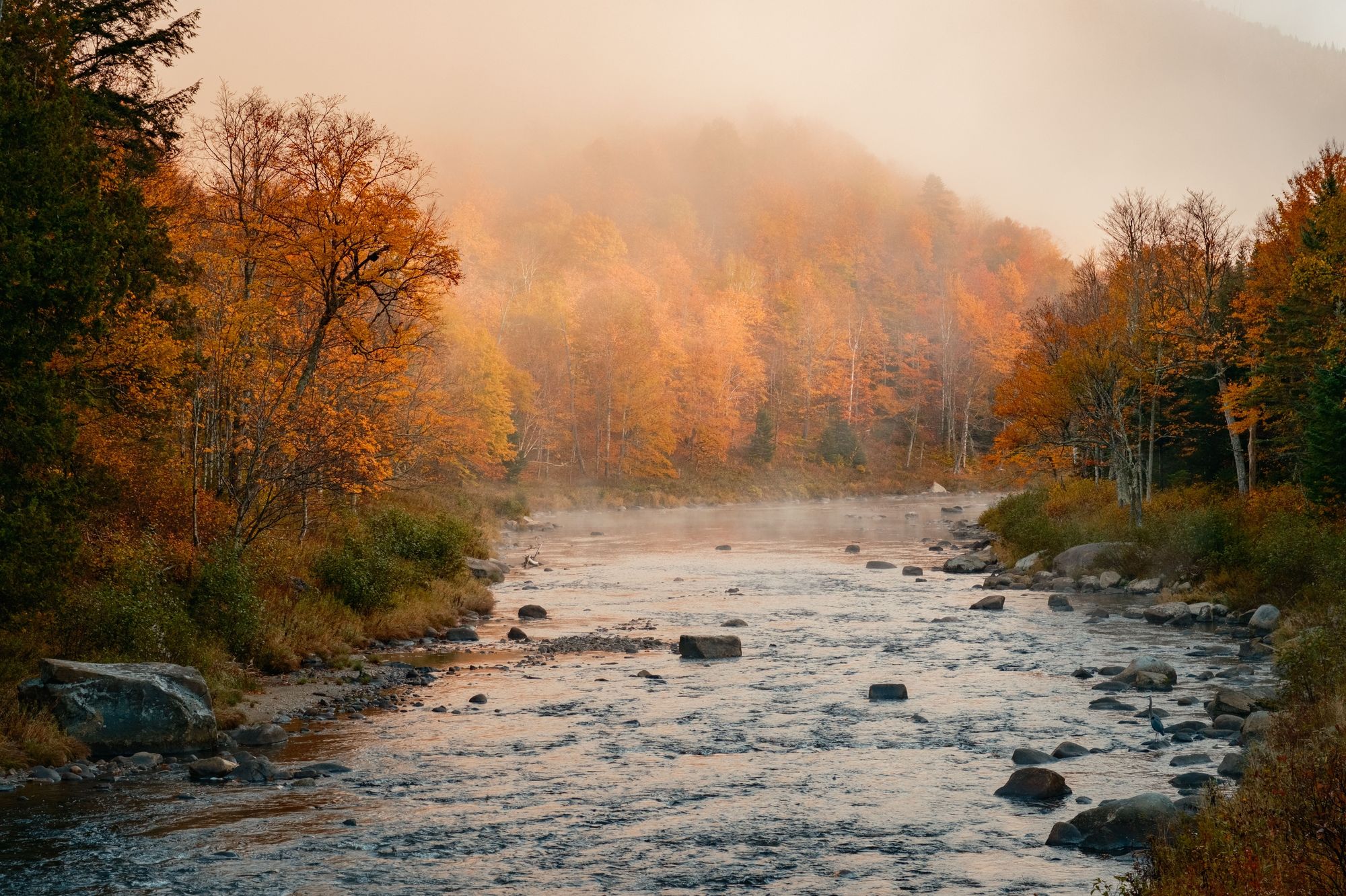 West Branch Ausable River, Adirondack Mountains 02