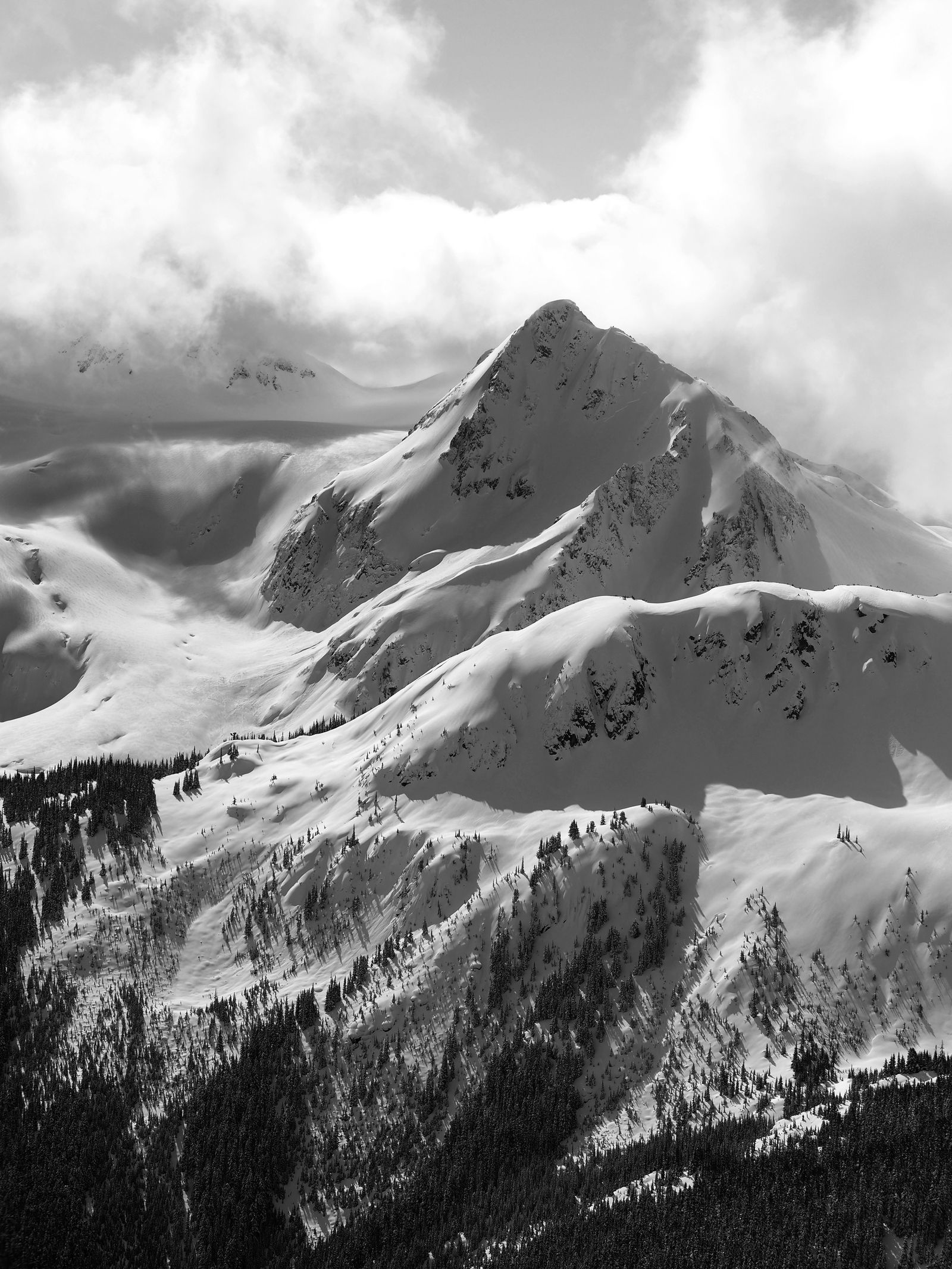 Whistler