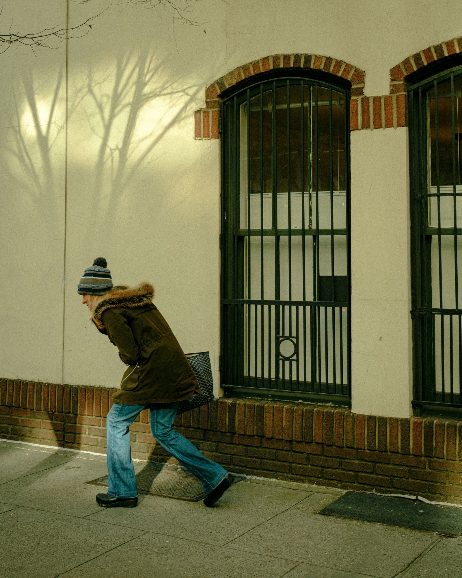 Winter Walk
