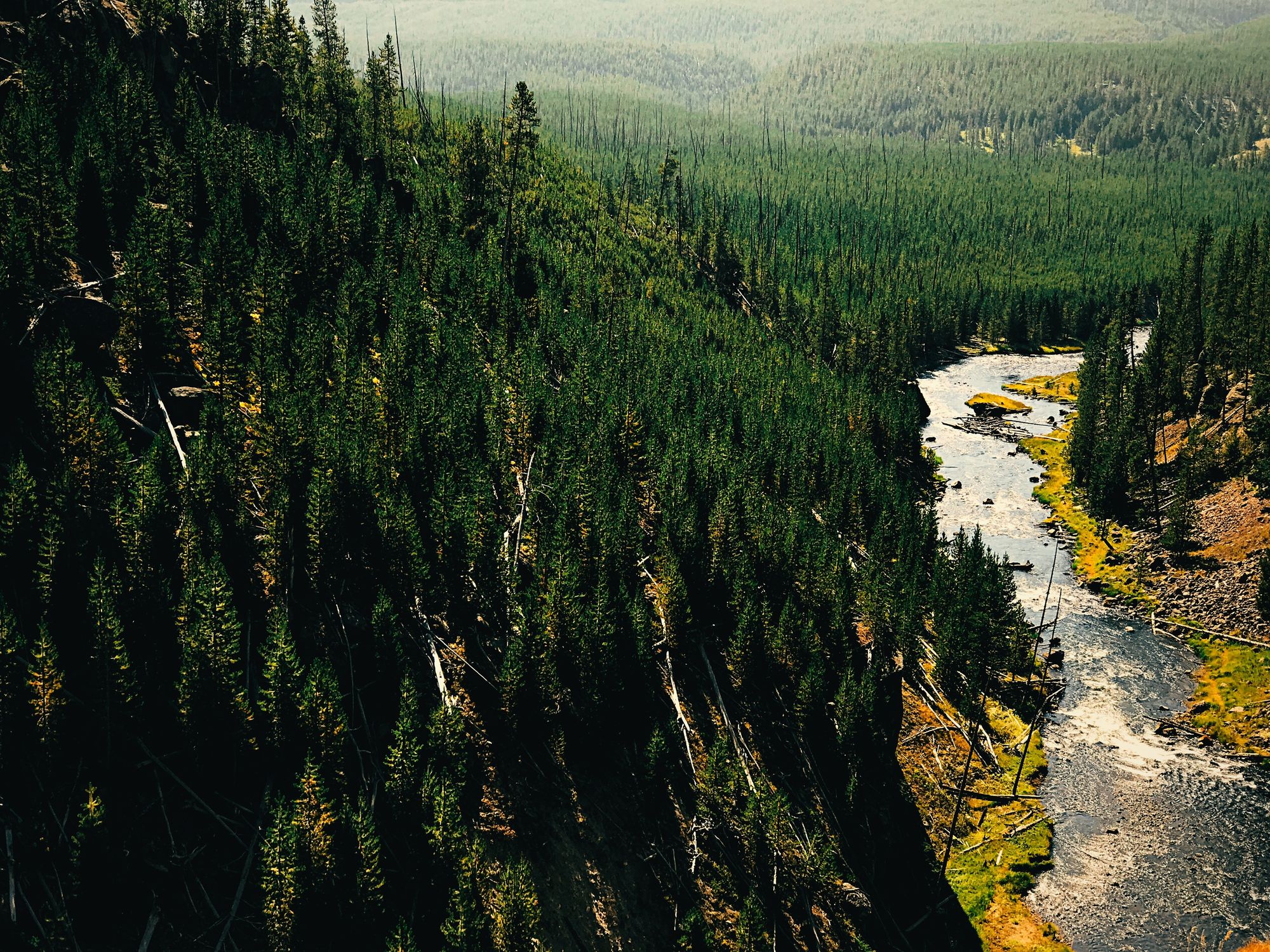 Wilderness Flow