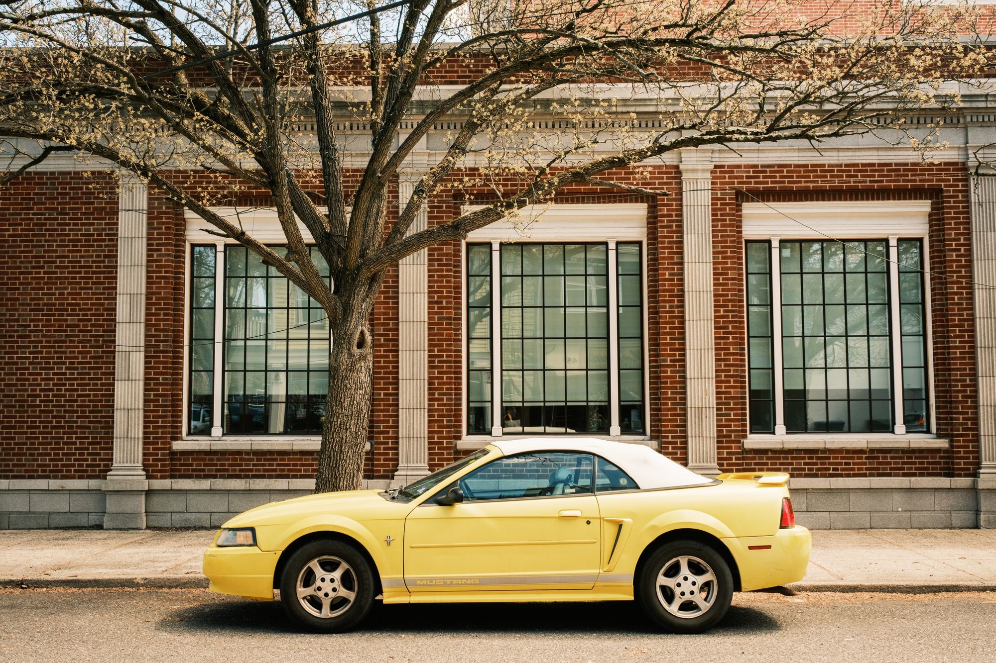 Yellow Mustang, Ocean Grove