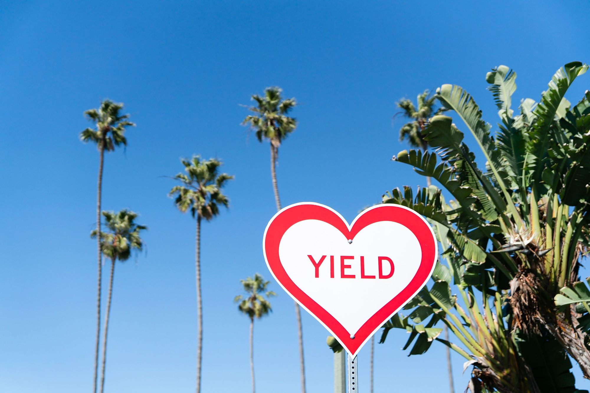 Yield the Laguna Way
