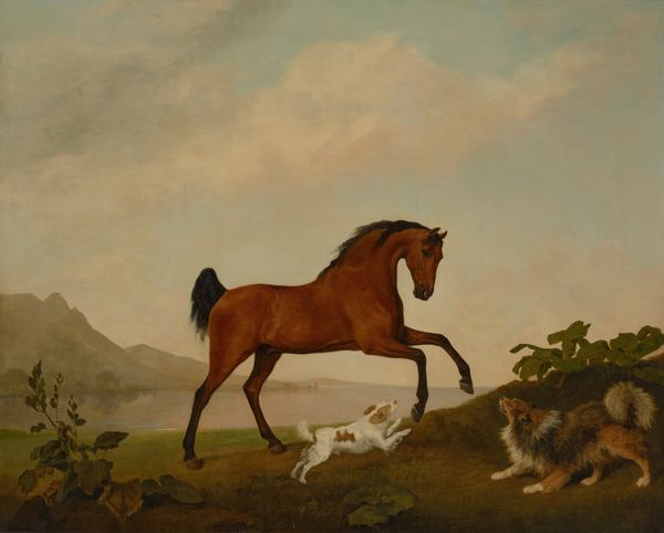George Stubbs