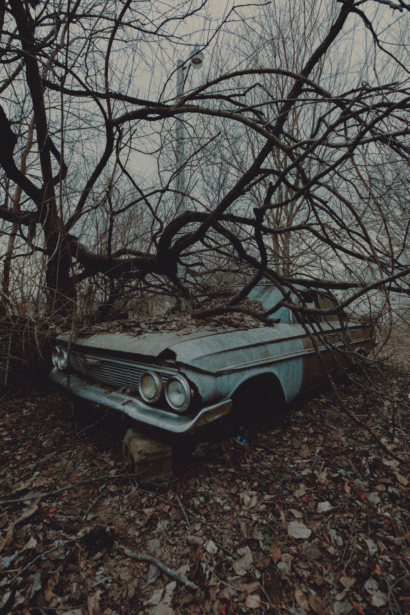 Abandoned Impala 02
