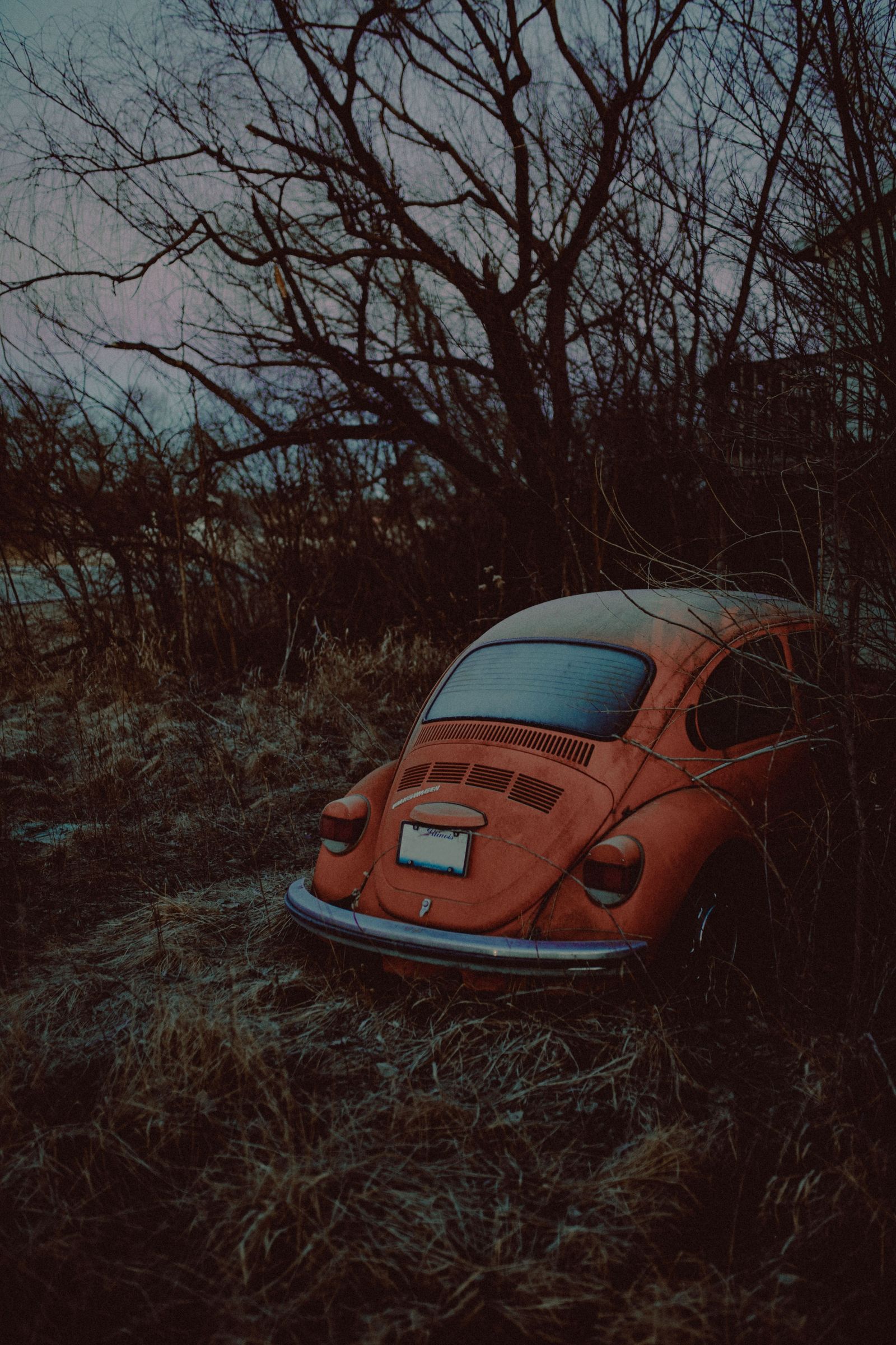 Abandoned Orange Beetle 01
