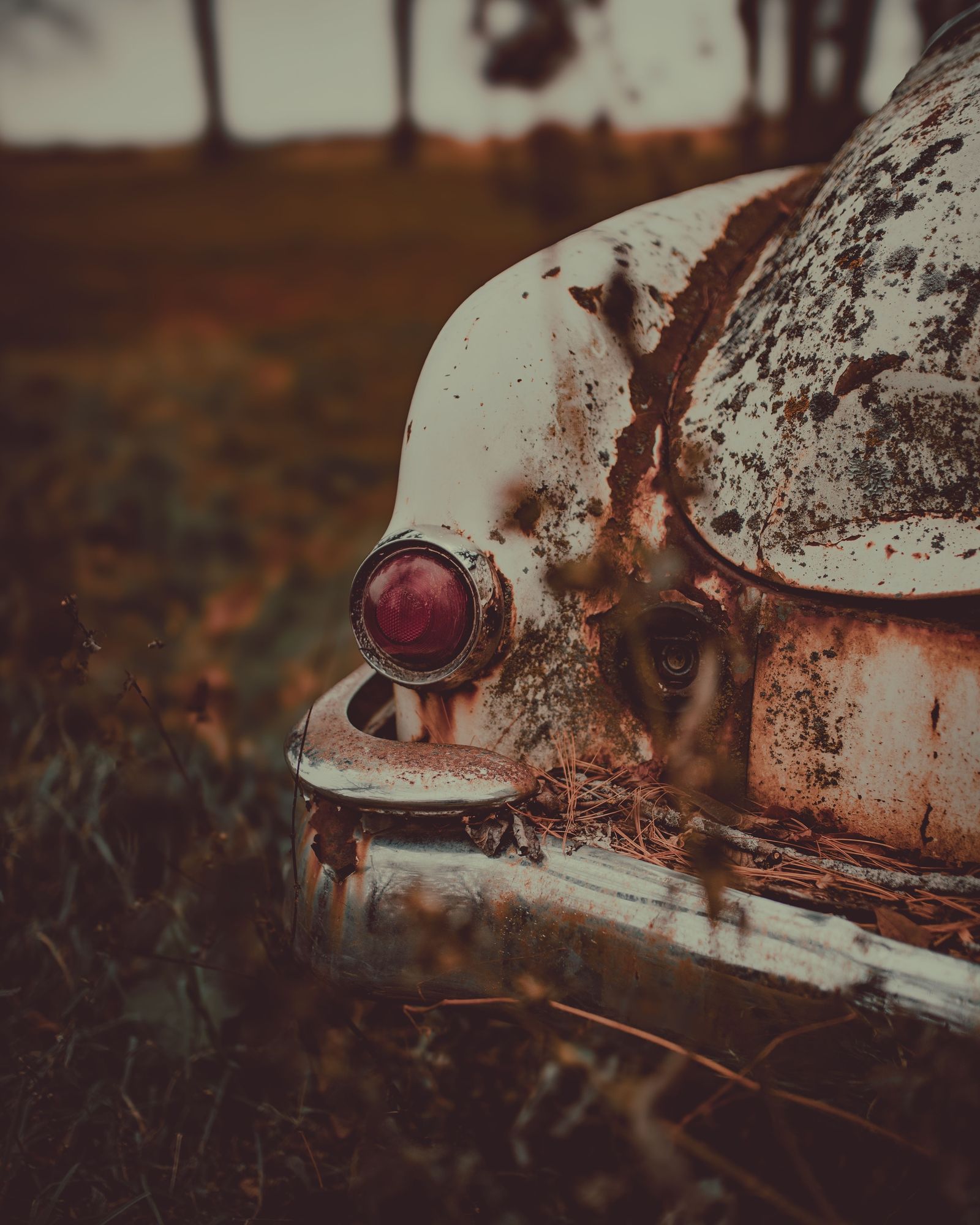 Abandoned Pontiac Chieftain 02