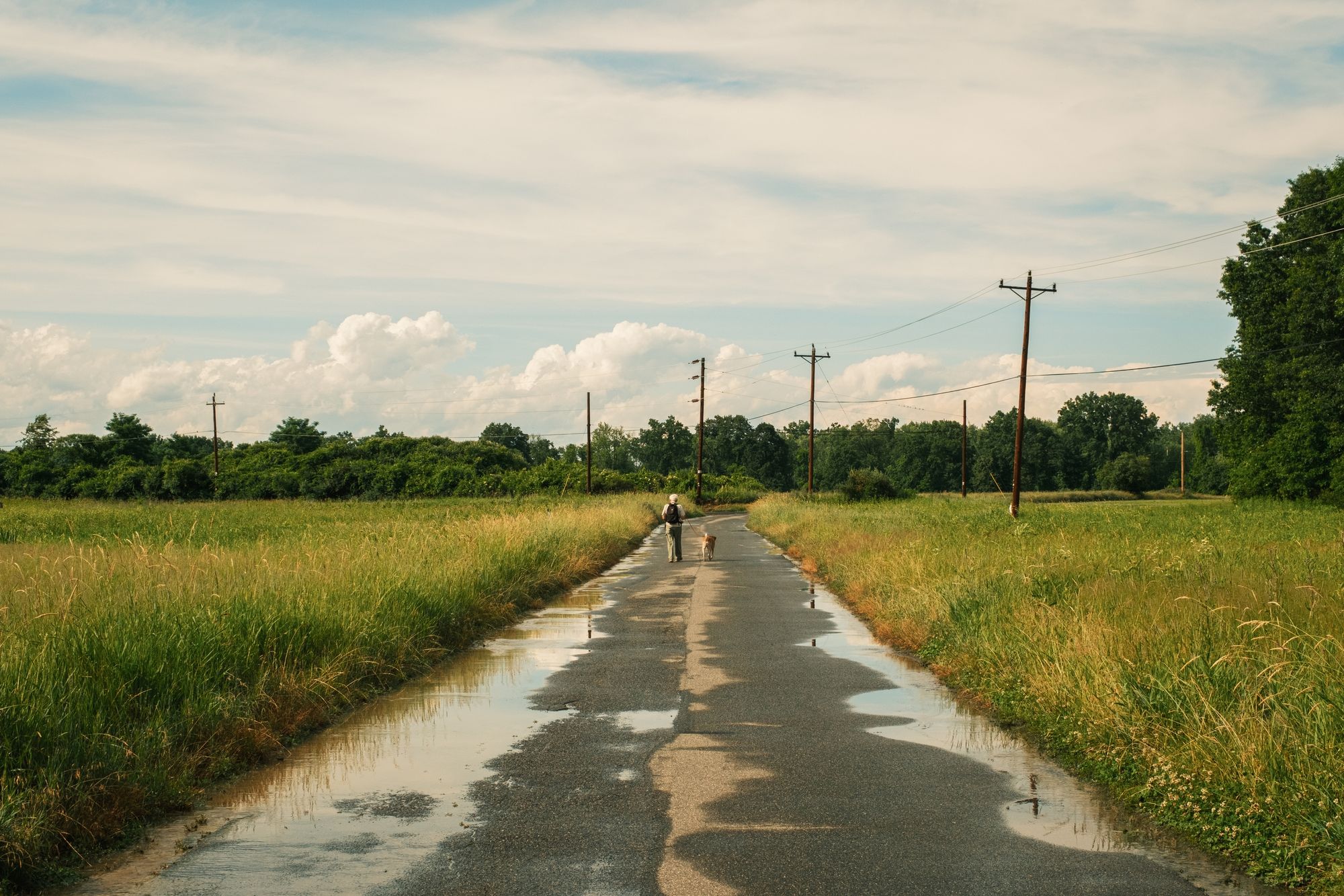 After the Rain