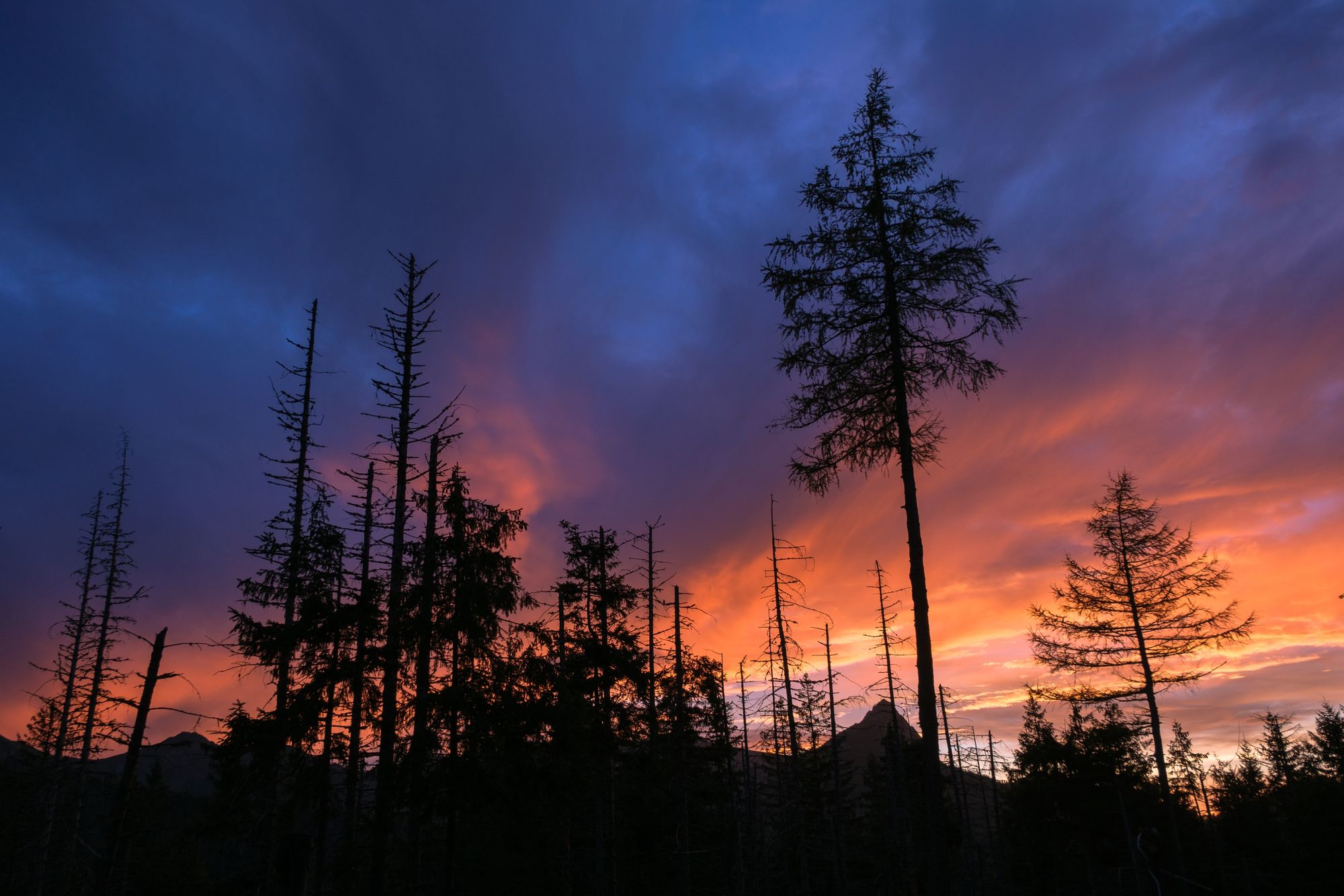Afterglow, Zakopane