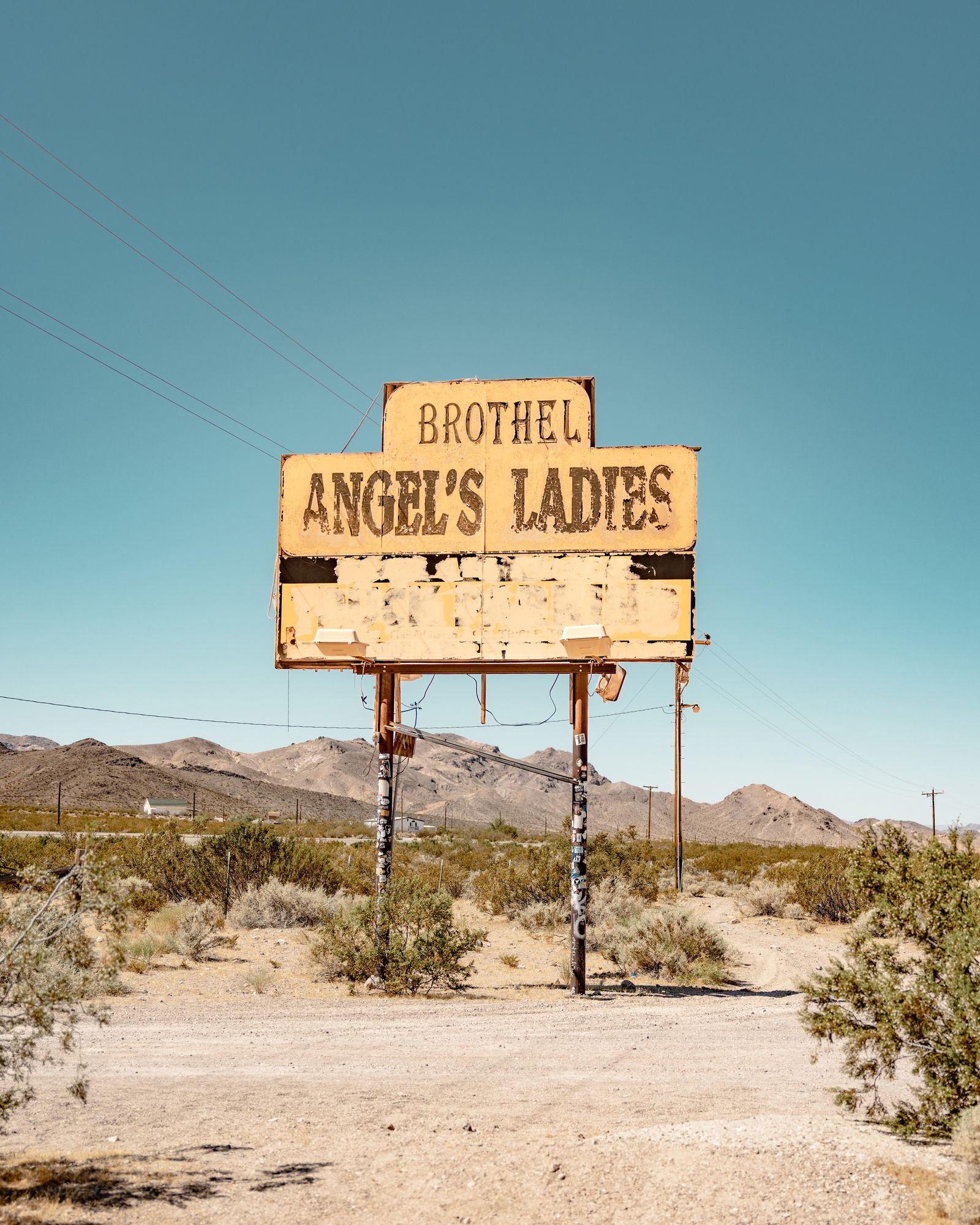 Angel's Ladies 02