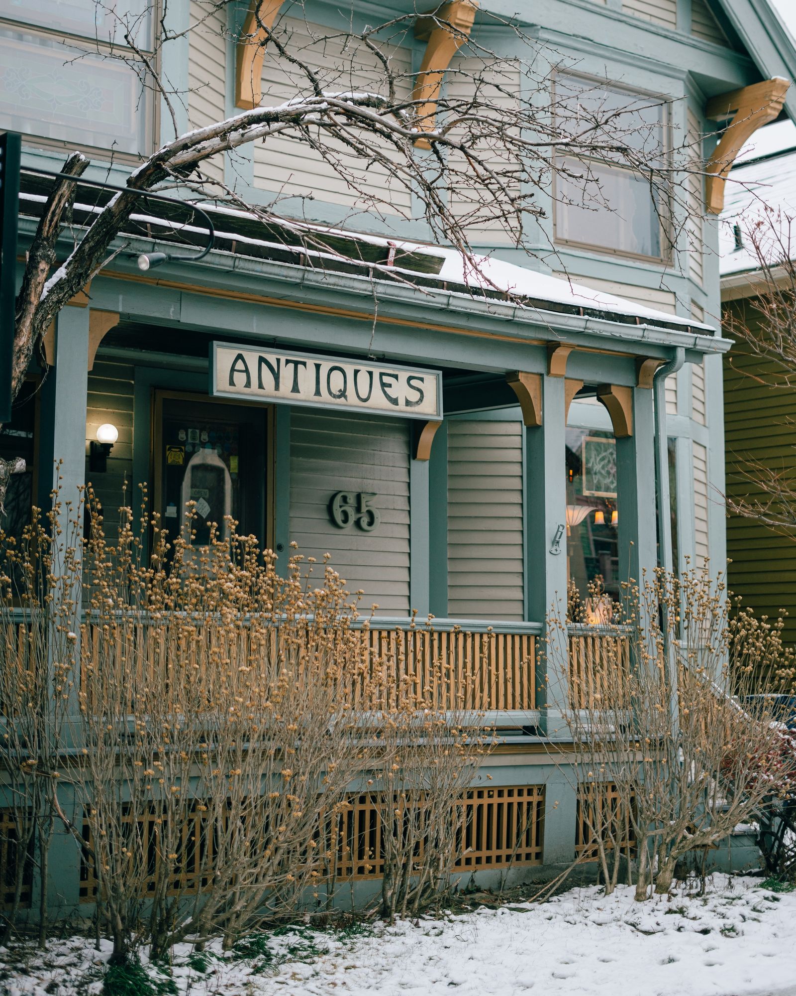 Antiques on Elmwood, Buffalo