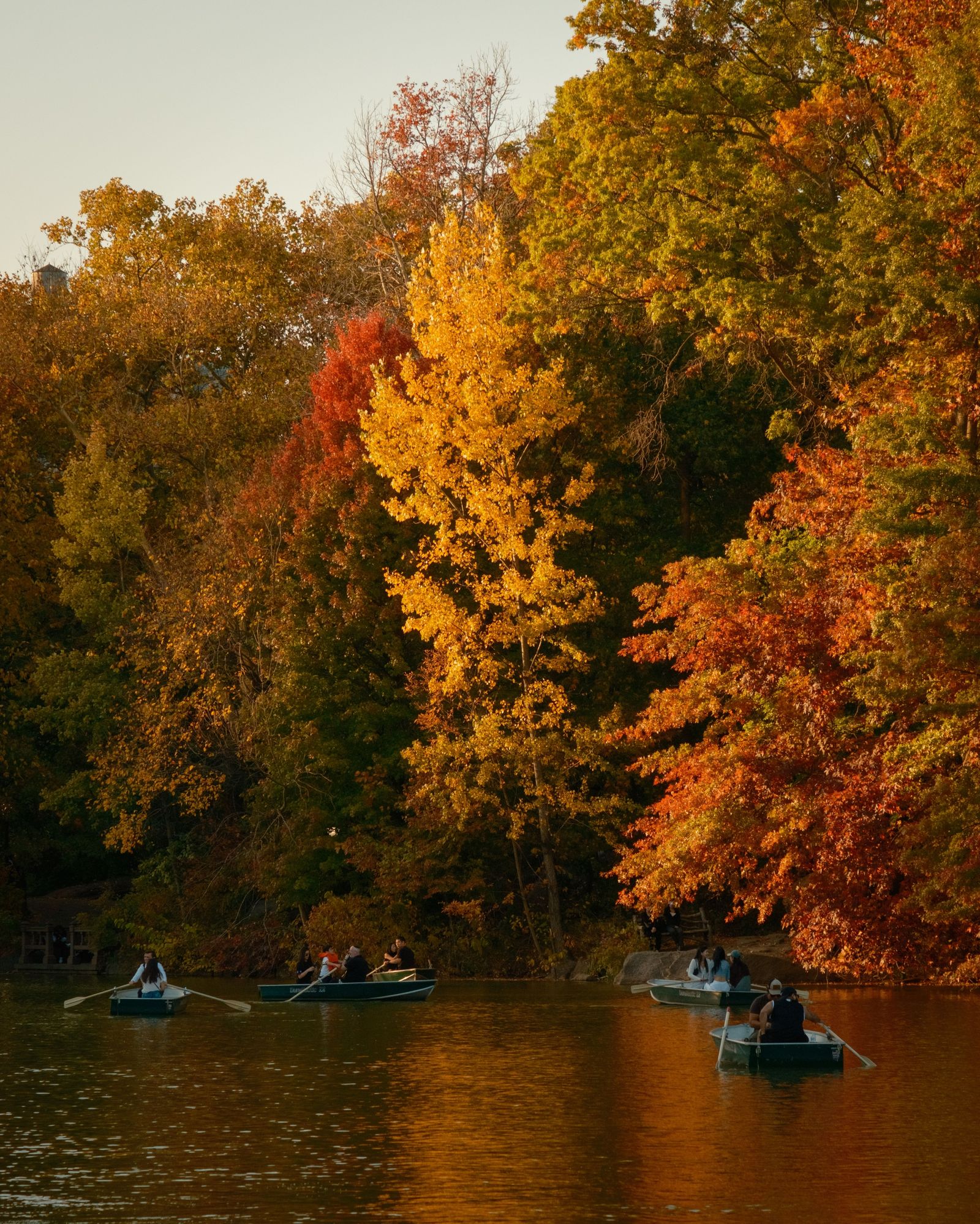 Autumn Color at The Lake, Central Park 02